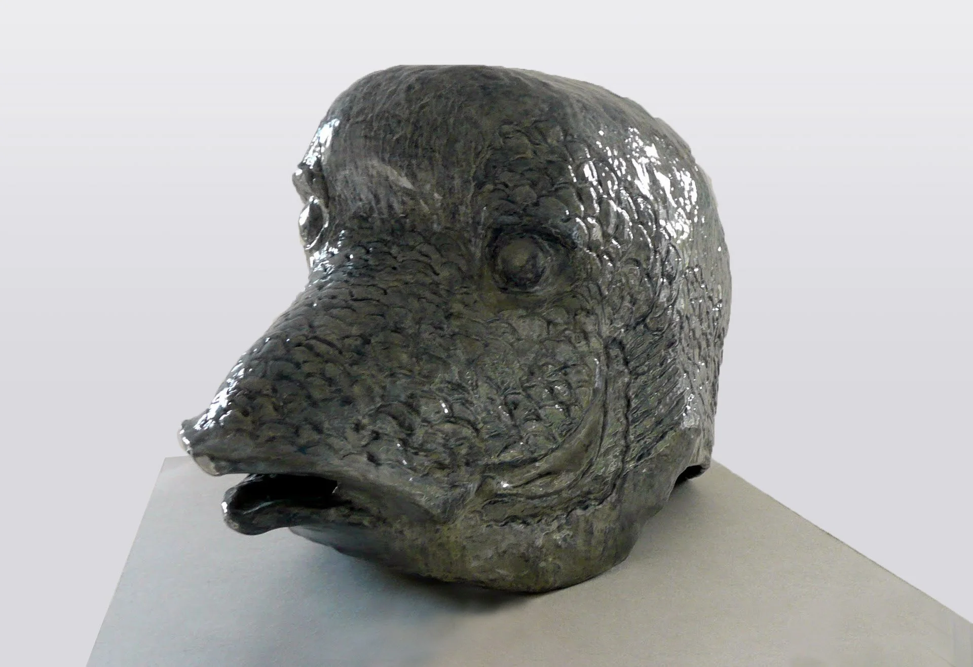 Homo Aestheticus, poisson, 2012-2018