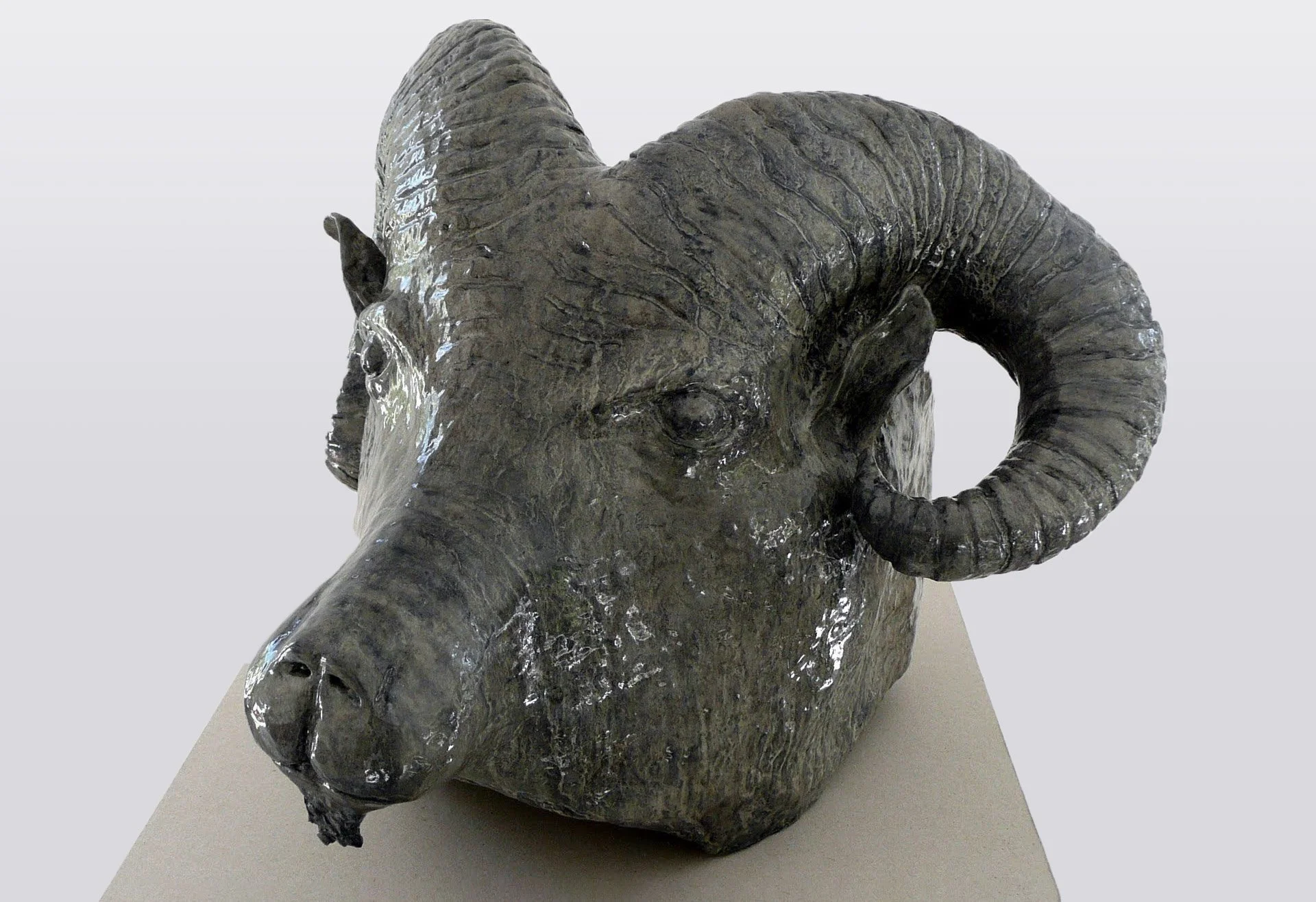 Homo Aestheticus, bouc, 2012-2018