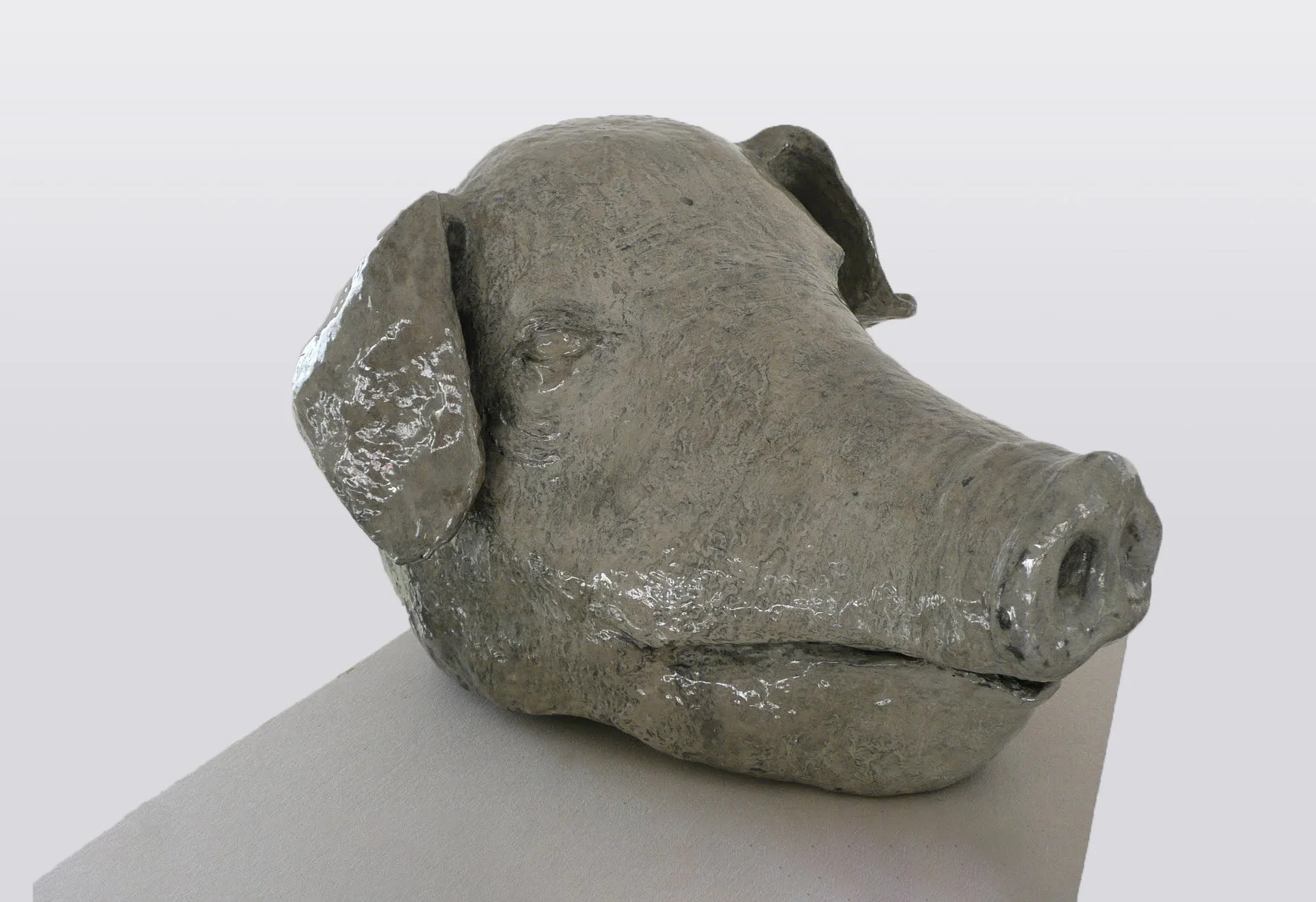 Homo Aestheticus, cochon, 2012-2018