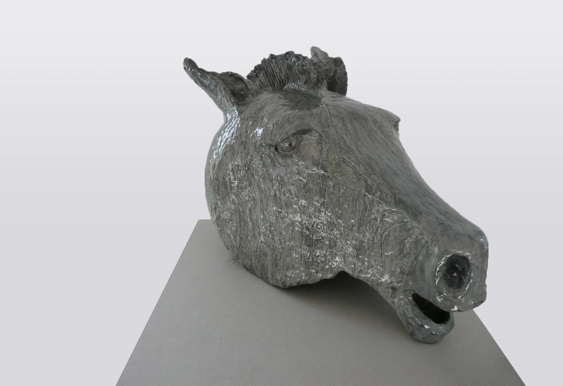 Homo Aestheticus, cheval, 2012-2018