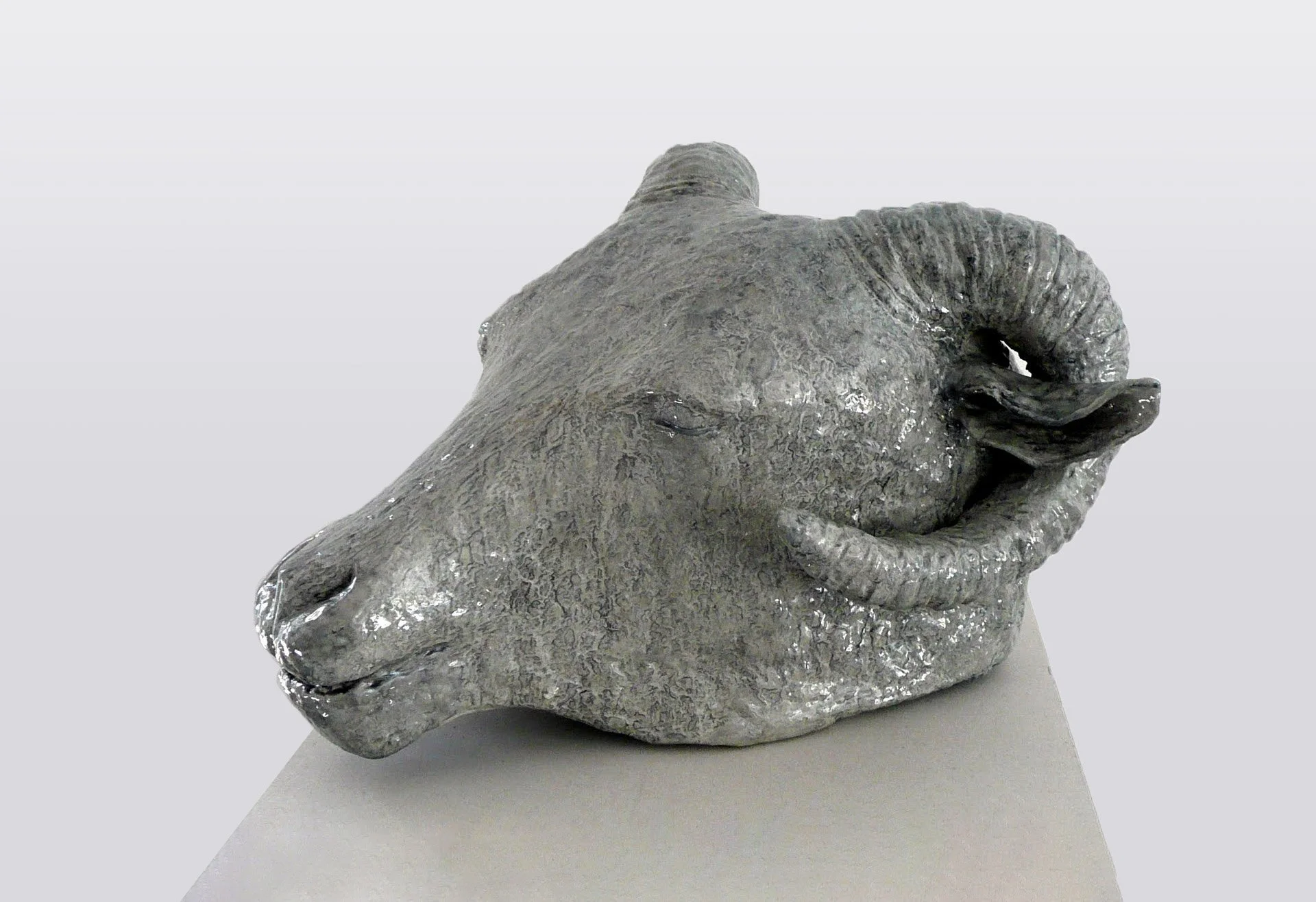 Homo Aestheticus, bélier, 2012-2018