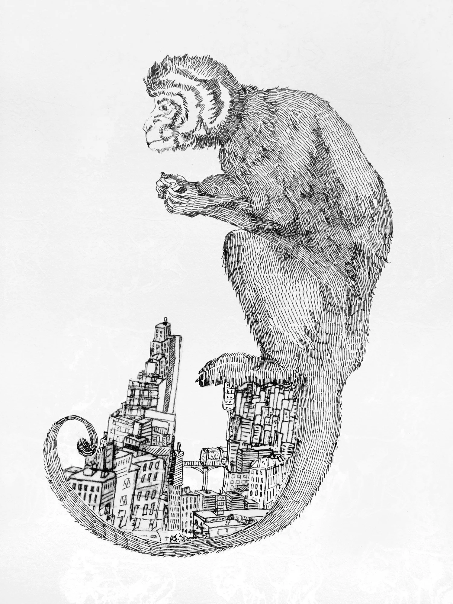 Dessin de singe ville, 2016