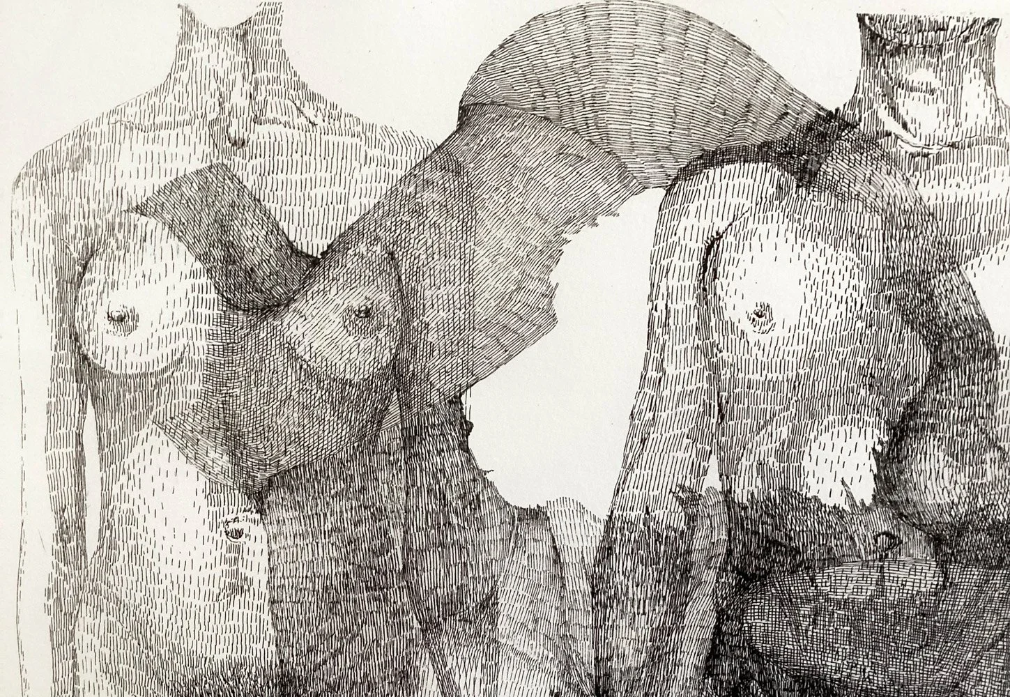 Dessin au rotring