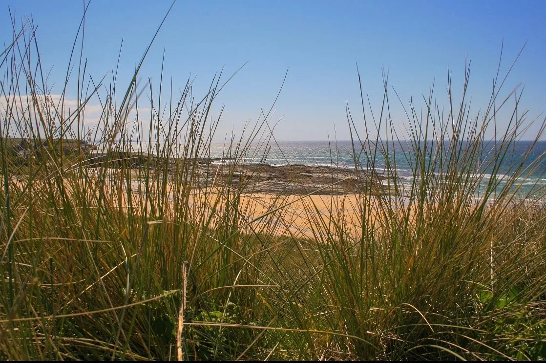 Pictures to the Shoreline from the Sand Dunes
&bull;
&bull;
&bull;
&bull;
&bull;
#padstow #sunny #blueskys #saterday #cornwall #kernow #nature #beach #sea #clearwaterbeach #tropical #bbcbristol #grass