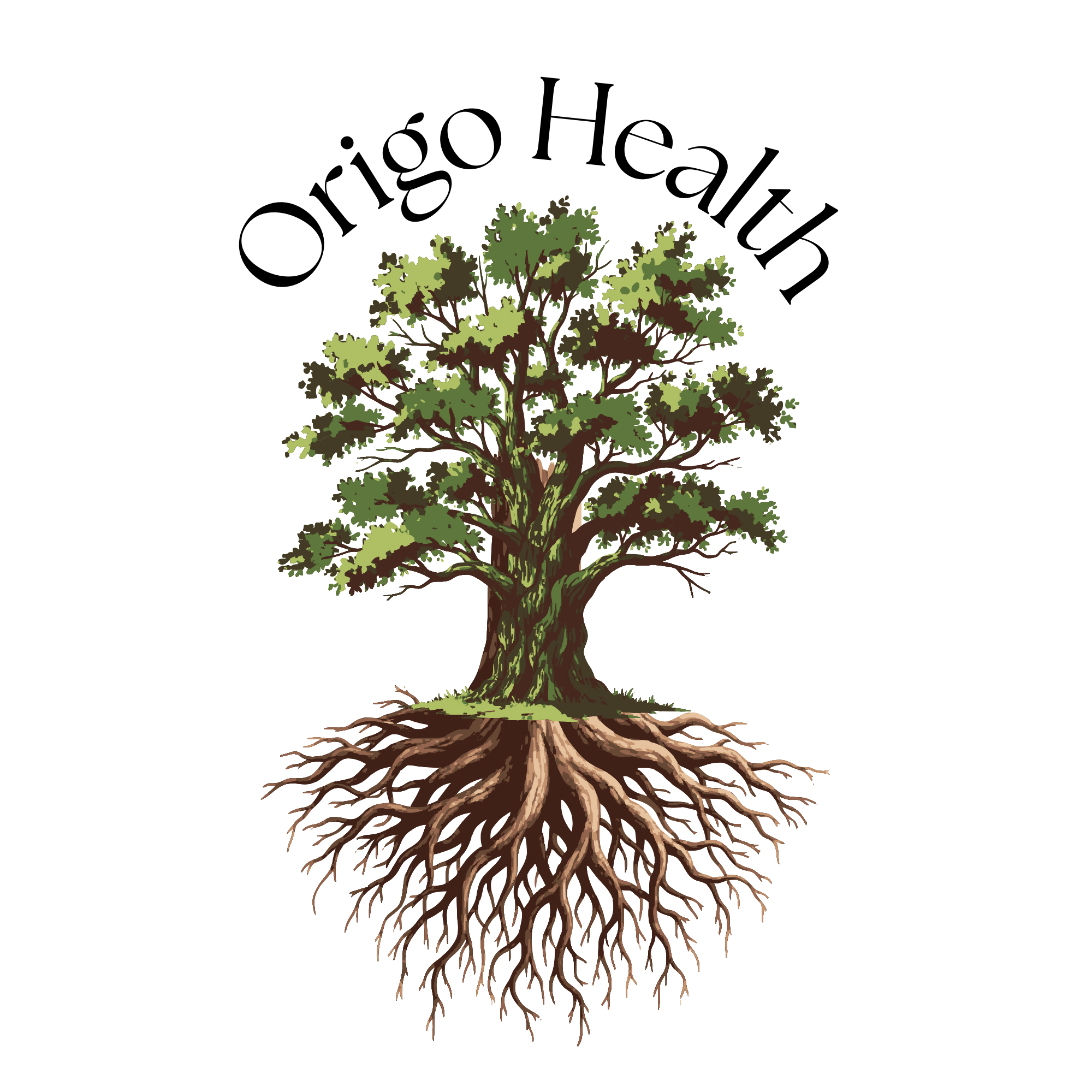 Een boom met groene bladeren en een dikke stam, met zichtbare wortels in de grond.
