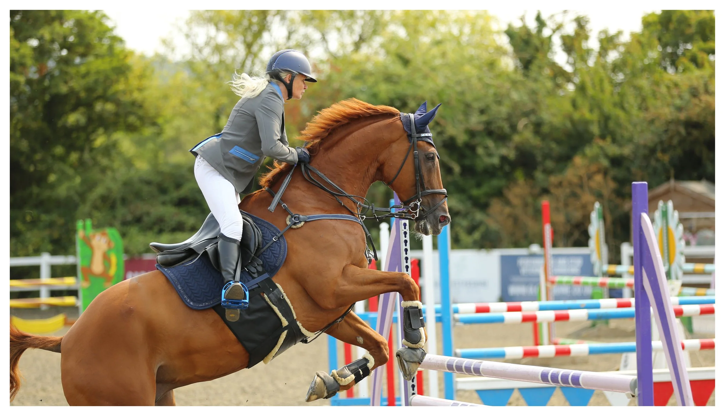 An equestrian rider wearing a gray jacket, white riding pants, and a helmet guides a chestnut horse over a colorful show jumping obstacle during a competition at an outdoor arena with trees in the background.