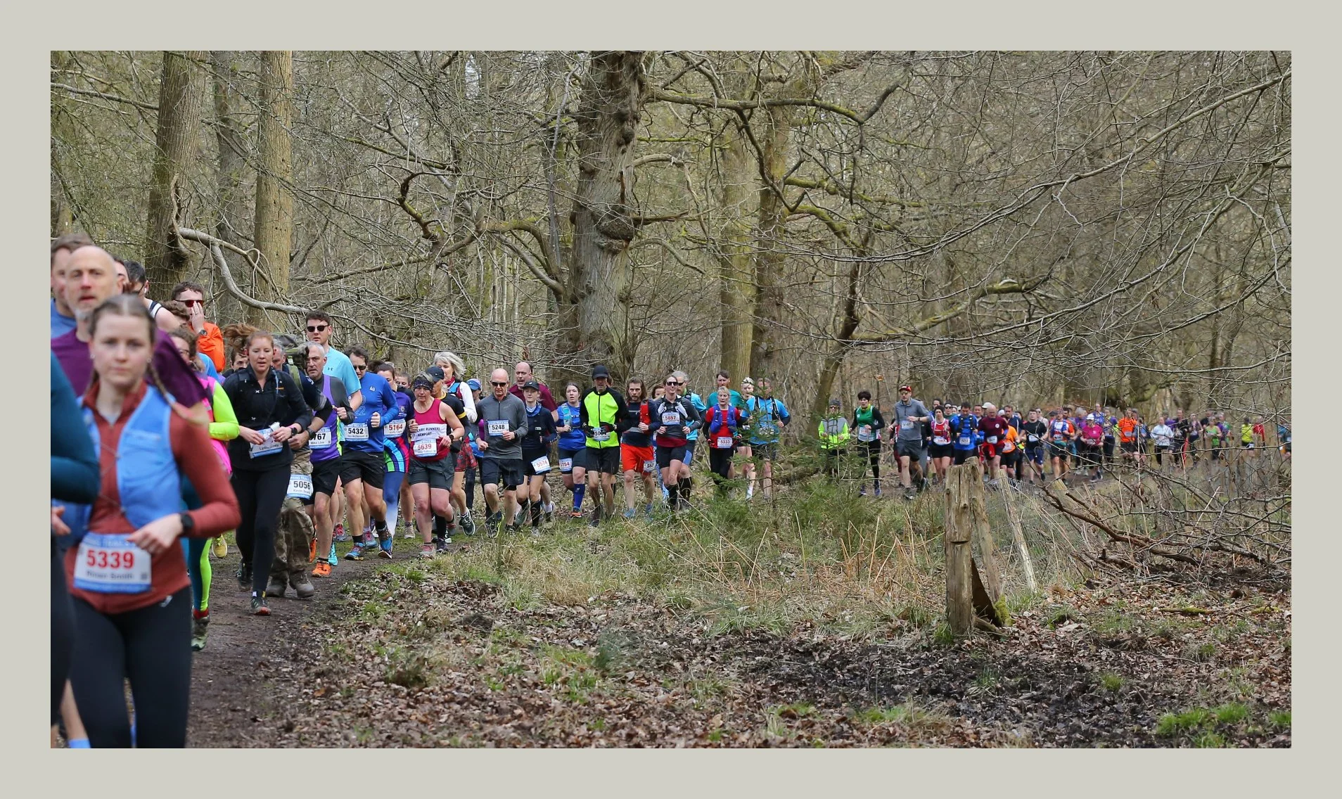 Group of runners participating in a trail race through a wooded area.