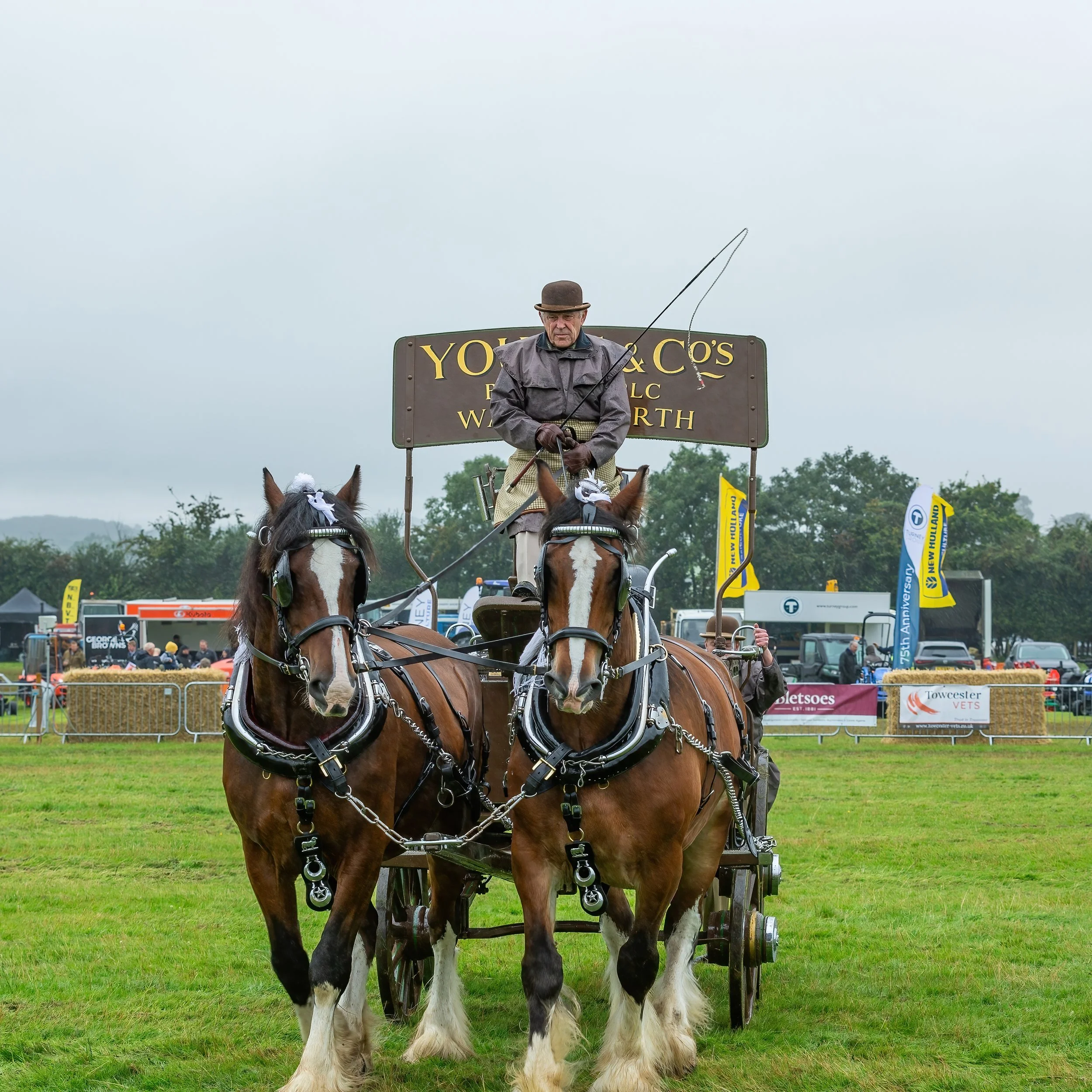 Man in vintage clothing driving a horse-drawn carriage at an outdoor event with banners, tents, and spectators.