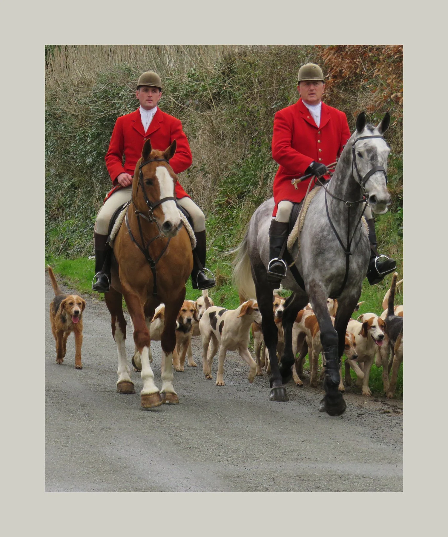 pembrokeshire hunt in 2020 at herbanston