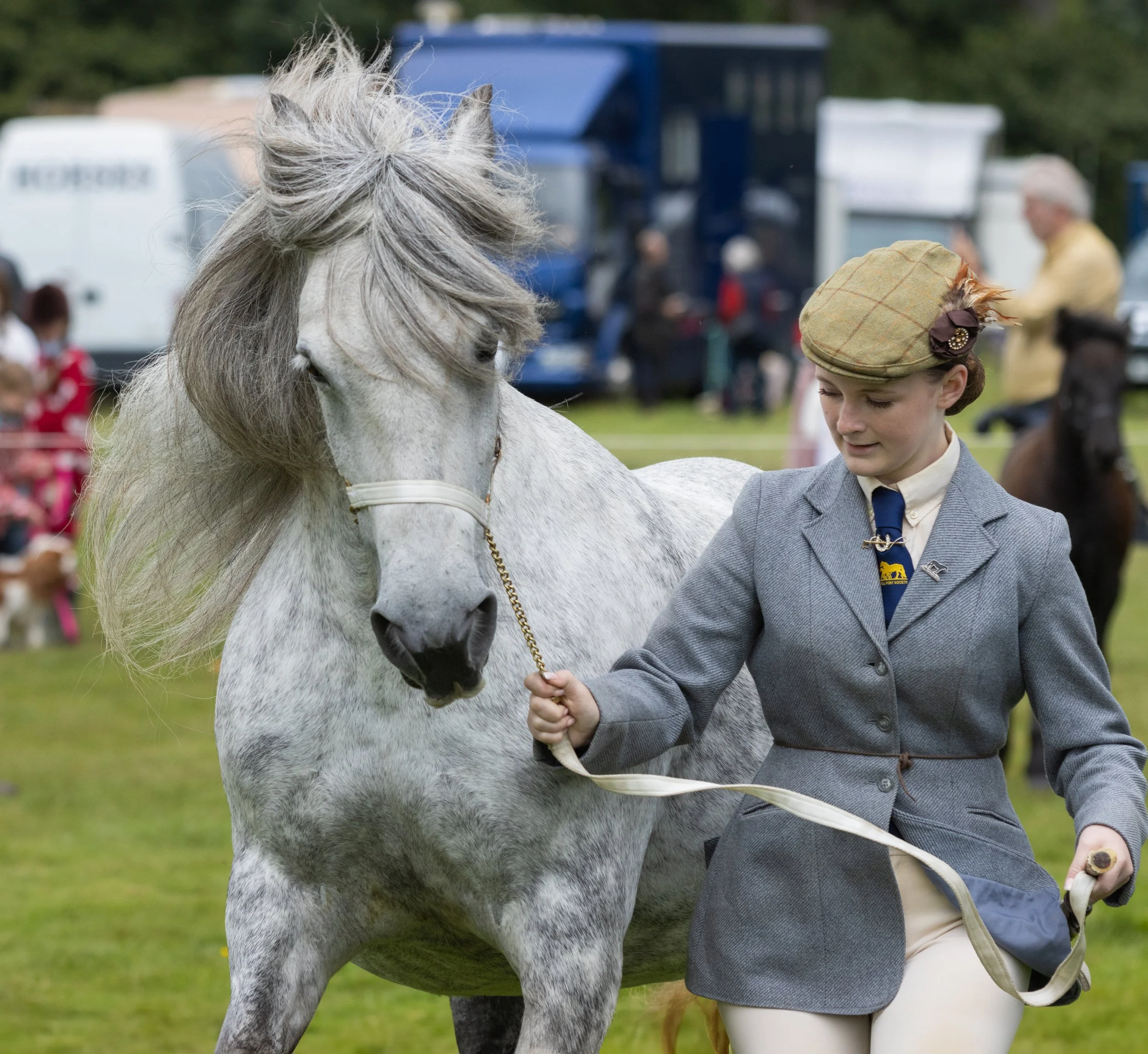 horse show at the dalemain mansion in the lake district