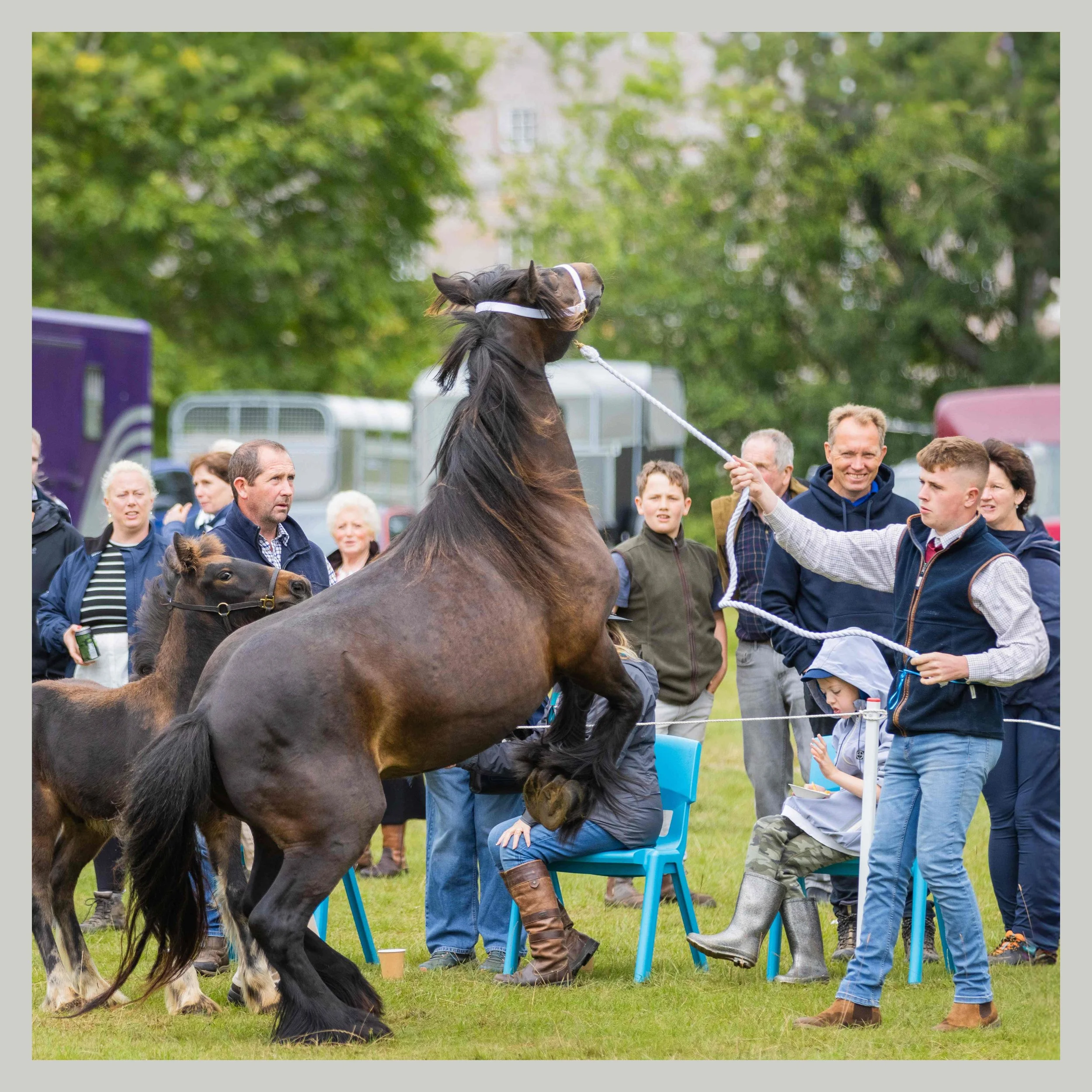 A man holding a rope is controlling a rearing horse in front of a group of people, including children, at an outdoor event on a grassy field.