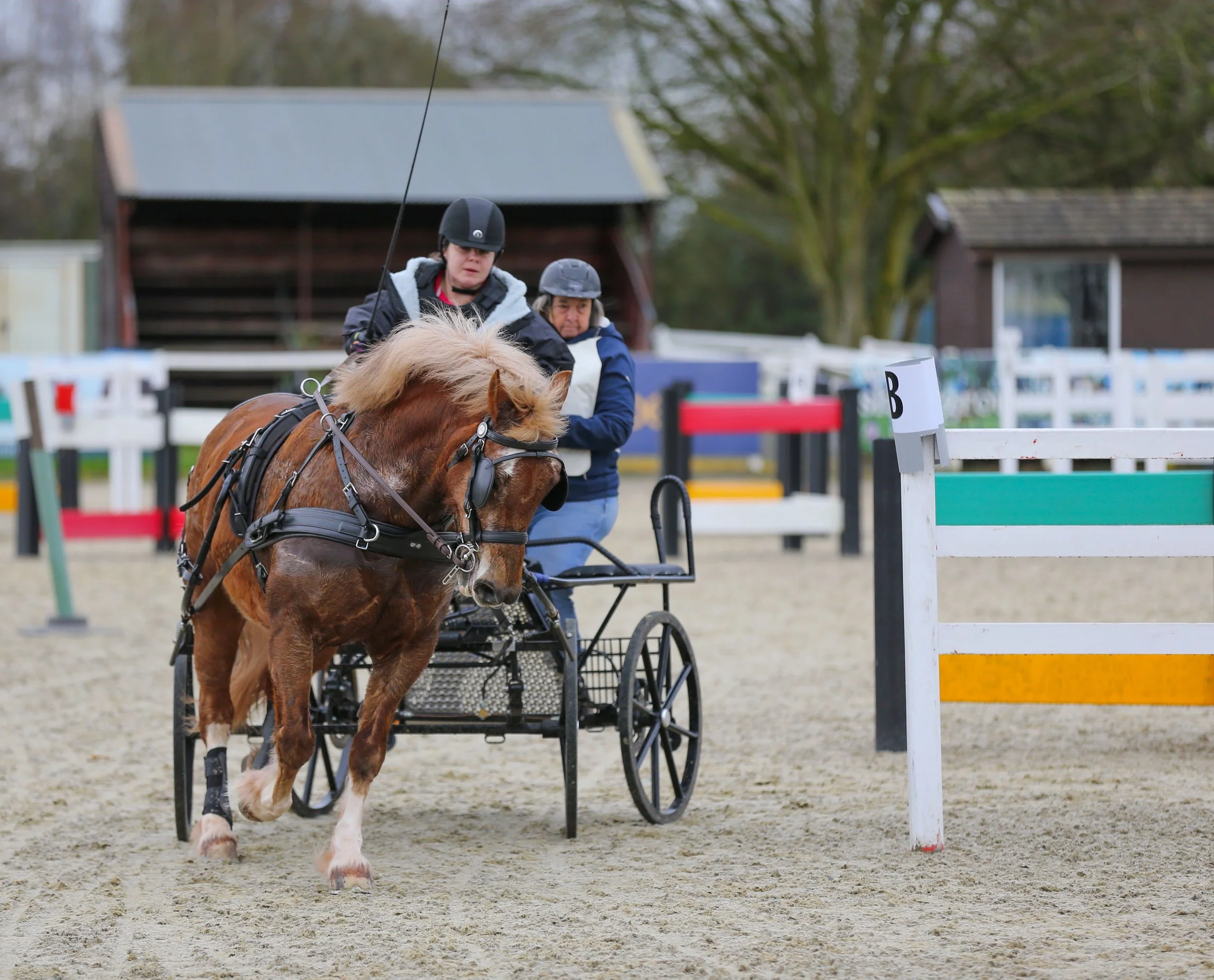 A person riding a horse-drawn carriage during an equestrian event, with another person standing nearby on a sandy arena with colorful hurdles.