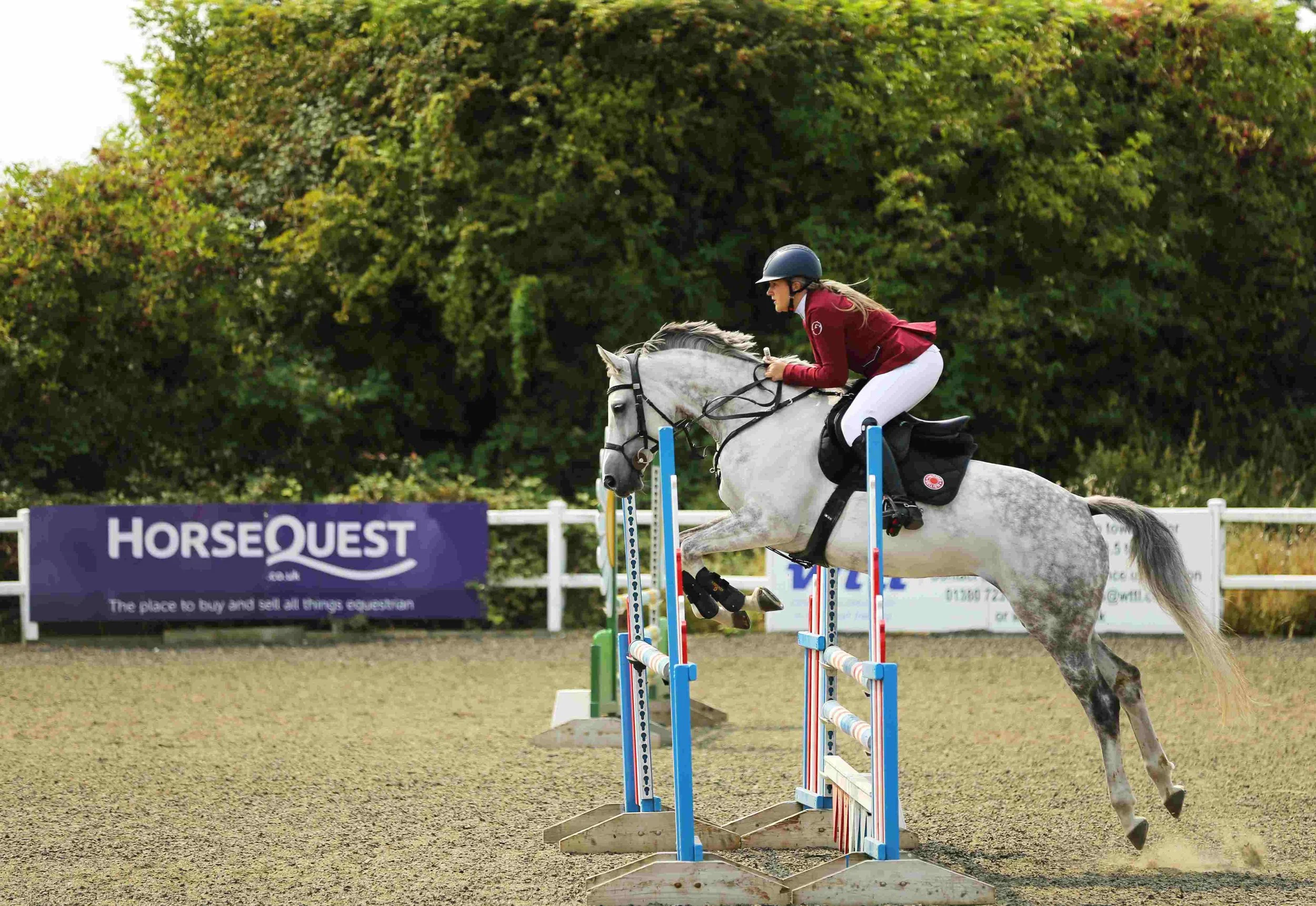 A female equestrian competitor in a maroon jacket and white riding breeches riding a gray horse over a show jumping obstacle on an outdoor arena with trees and a HorseQuest sign in the background.