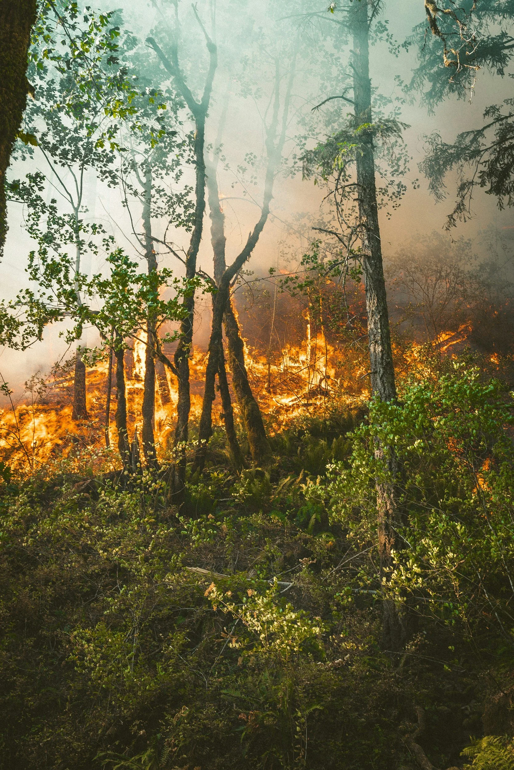 Après la canicule dans l’hexagone, le retour des feux et des incendies.