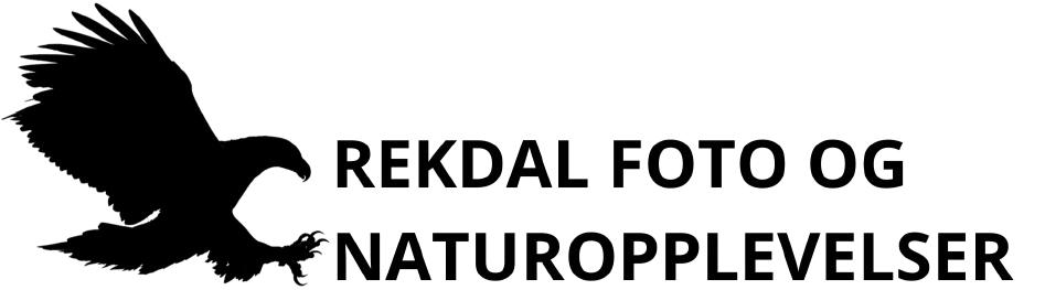 Rekdal foto og naturopplevelser