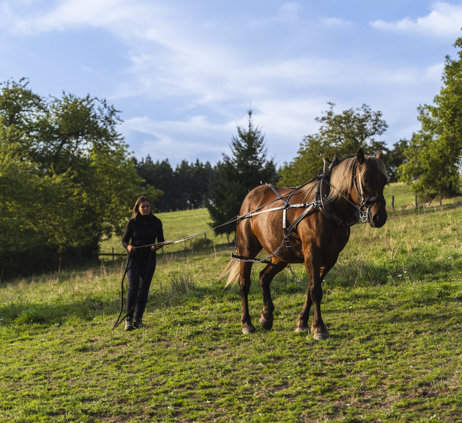 loin_des_macadams_photos_romainchambodut02.jpg