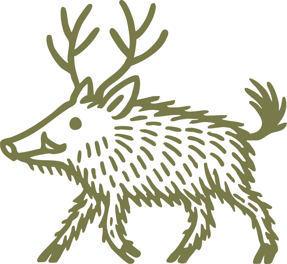 Illustration of a moose with antlers and shaggy fur in a minimalist style.
