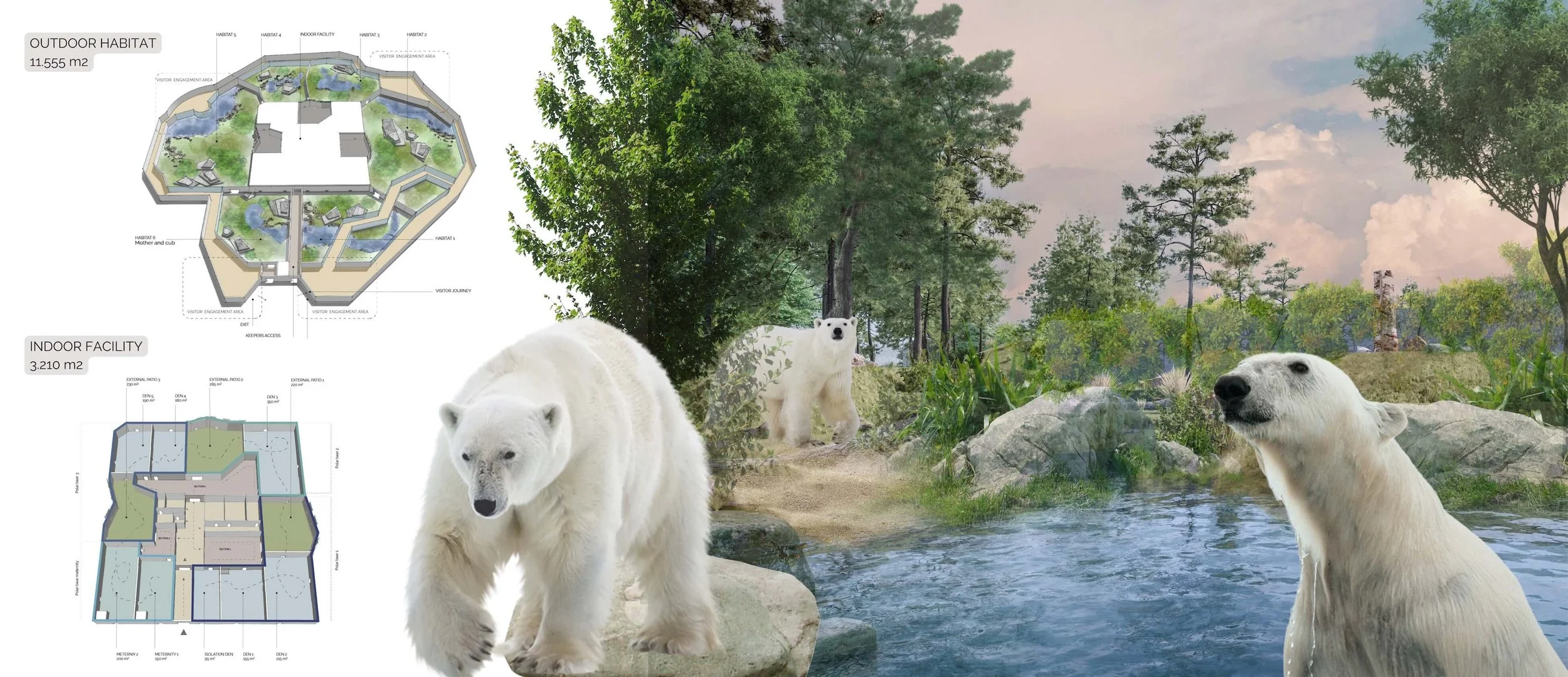 POLAR BEAR DALIAN.jpg
