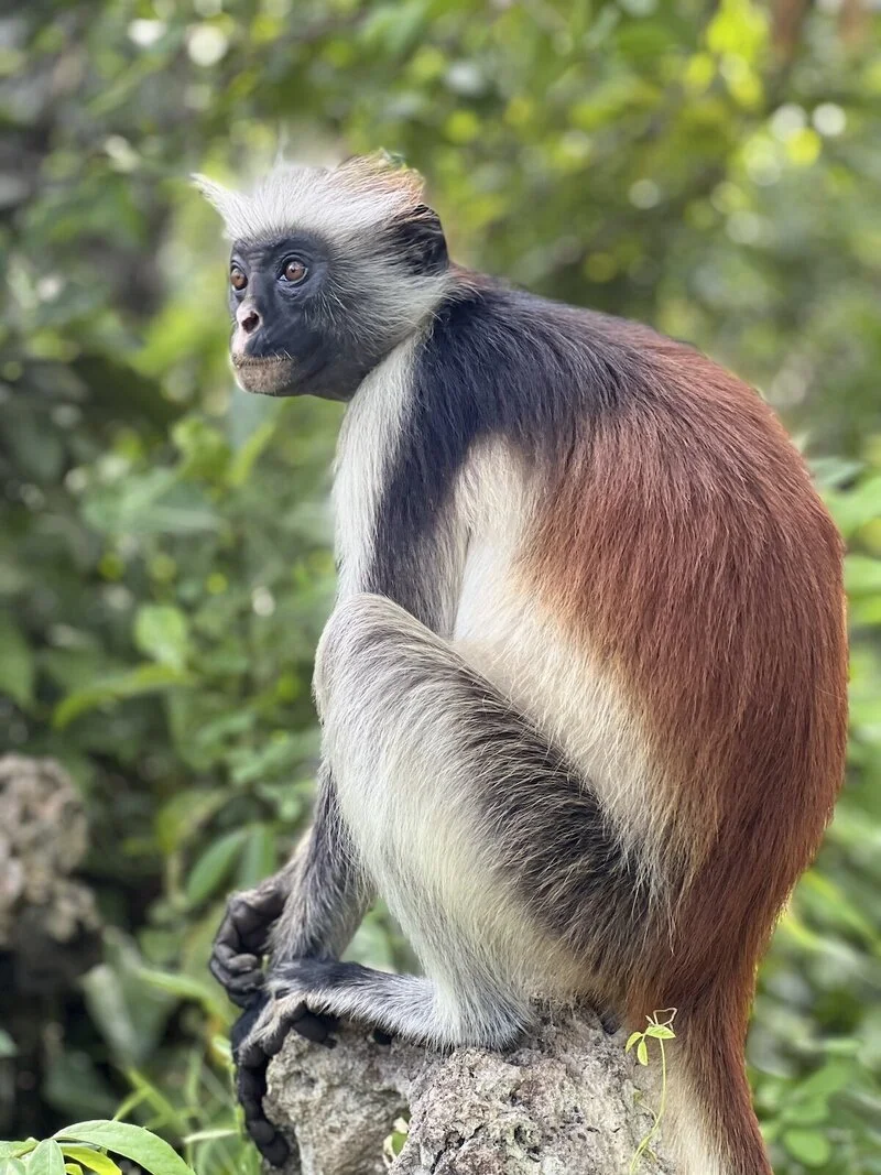 Living Landscape Park