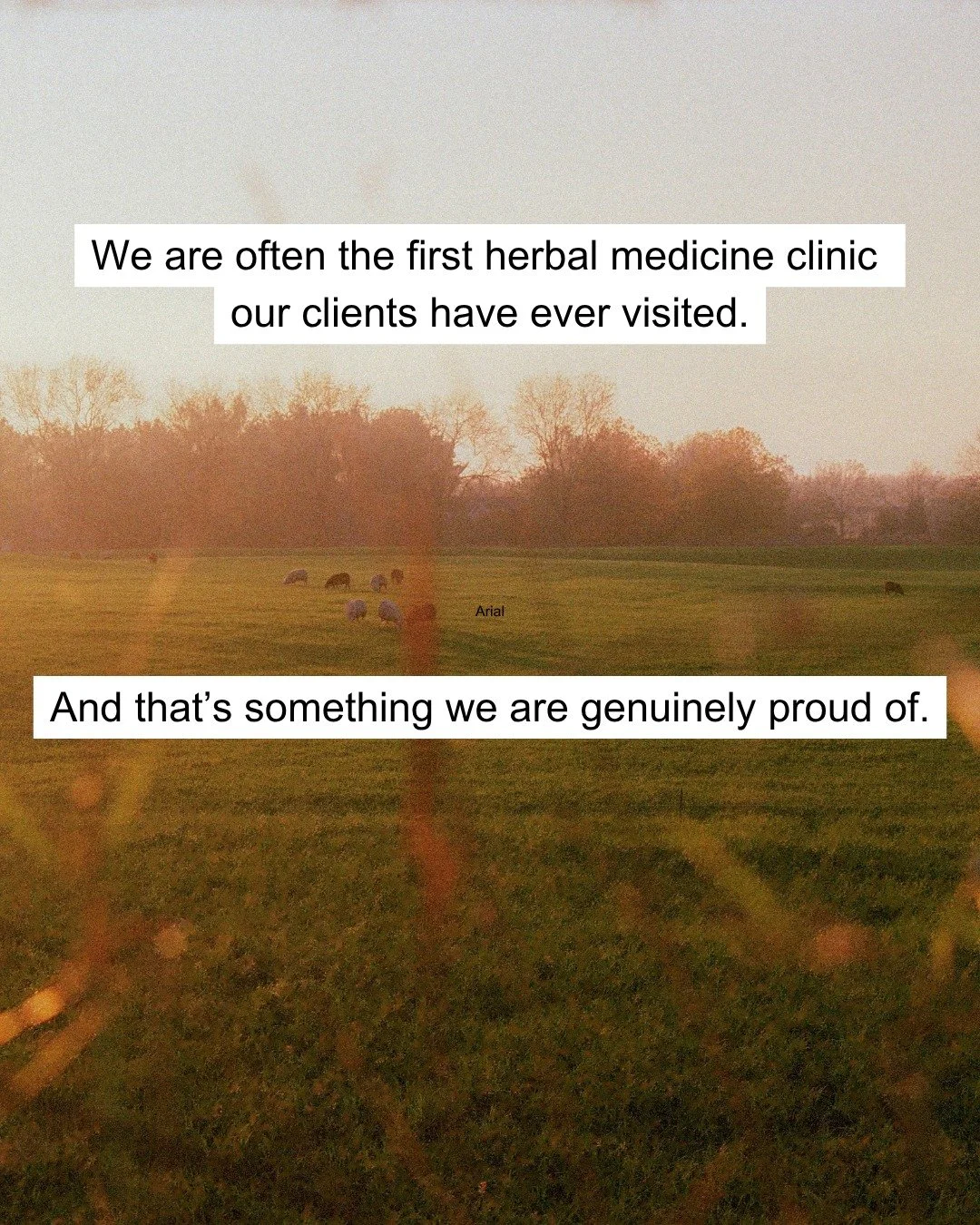 Our goal is to give you back a sense of agency in your own health. Plants can't really turn things off and on in the body (well, some can but we don't commonly use those). Because of this, it is your body doing the work, and we believe that is empowe