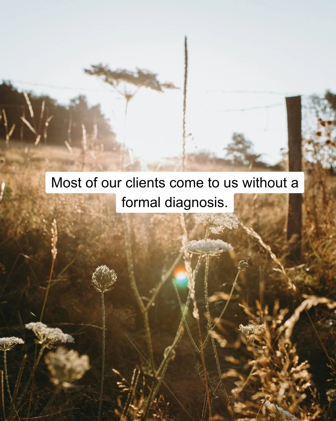 At Unfold, we respect a diagnosis (and in fact work closely with GPs when required) but we focus on what you're feeling, not what it's called. #herbalmedicine, #nervoussystem