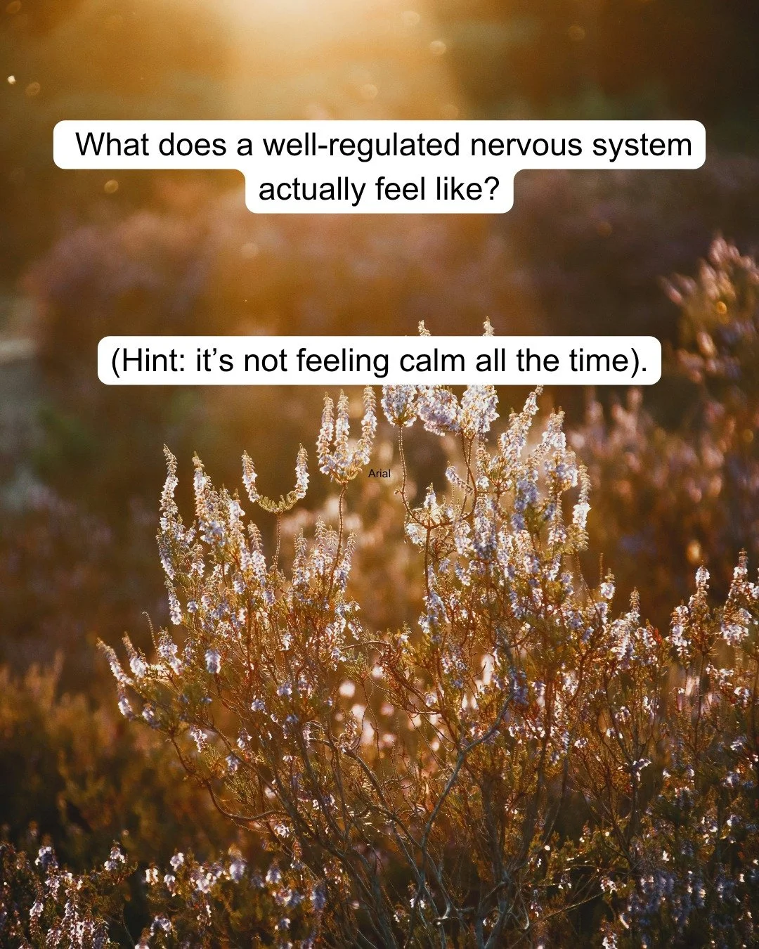Our starting point is always your nervous system. When your body is stuck in a chronic fight-or-flight mode, it begins to deprioritise essential everyday functions such as digestion, repair, and immune regulation. Equally, if you&rsquo;re unable to a