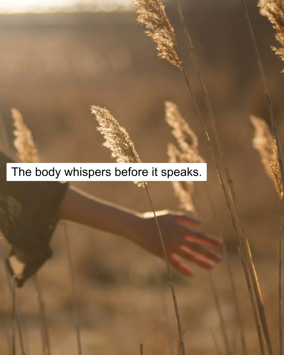 The body offers up quiet signals, long before a formal diagnosis. A change in sleep habits. A shift in energy. One cold after another. It's easy to ignore these subtle clues, but at Unfold, we pay close attention to them. This is where our work begin