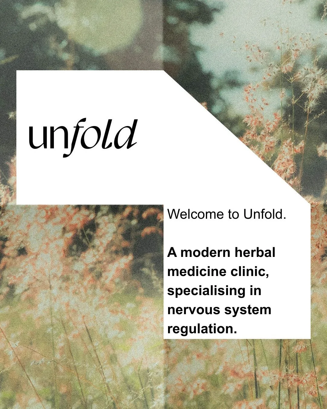After 600 hours in clinical herbal practice, across both private practice and NHS, Unfold begins.