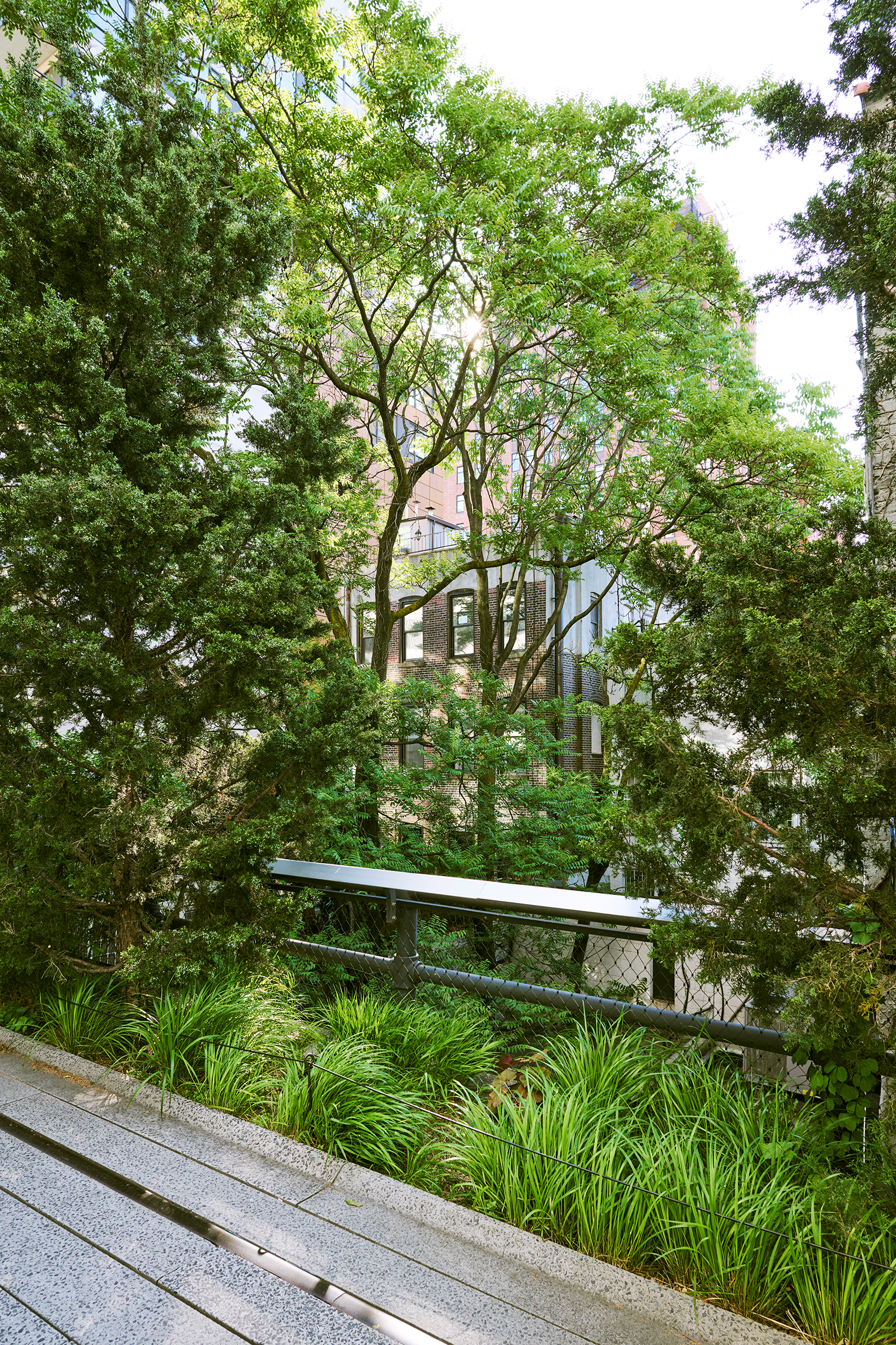08-high-line-park_2400.webp