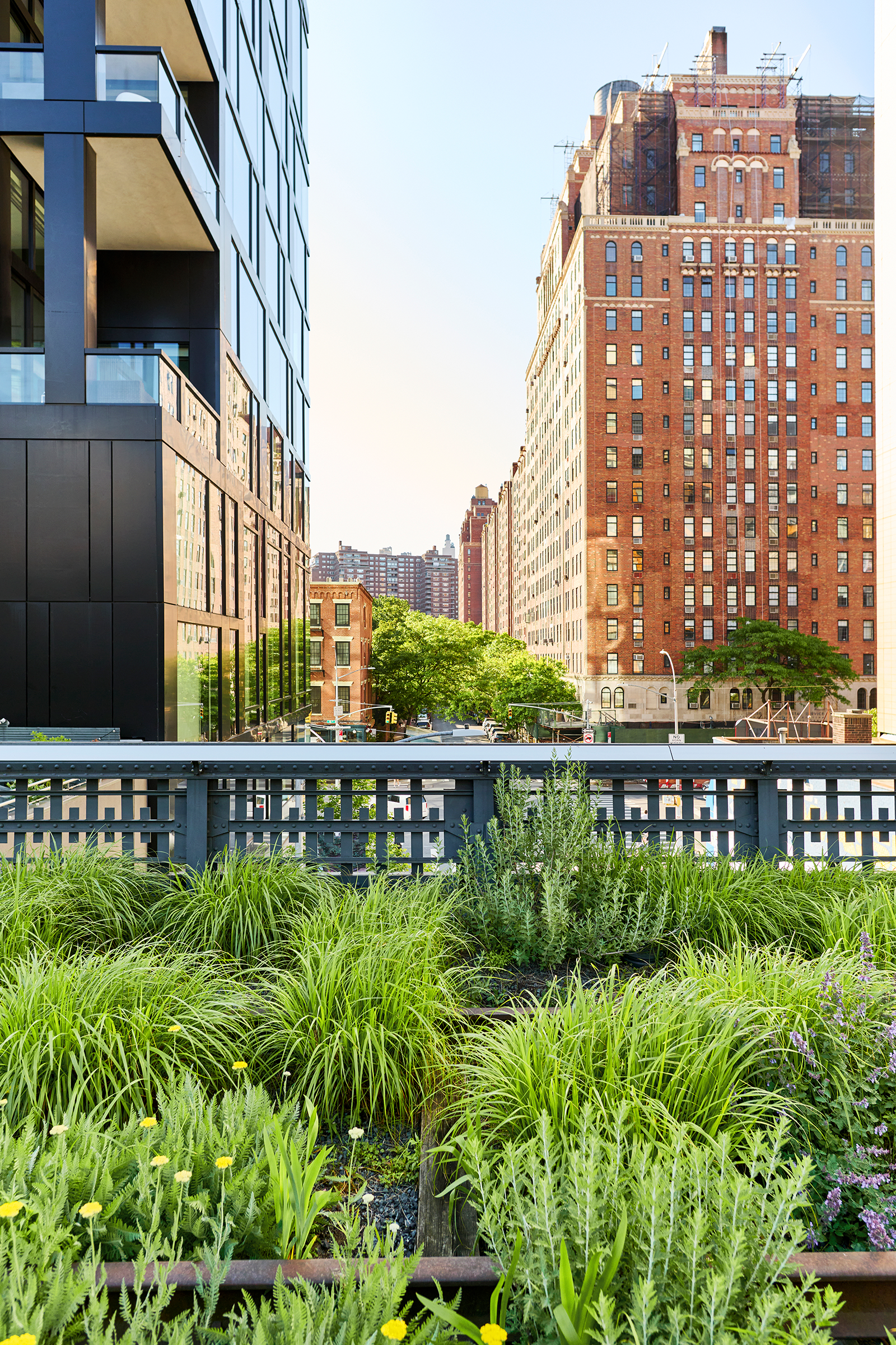04-high-line-park_2400.webp