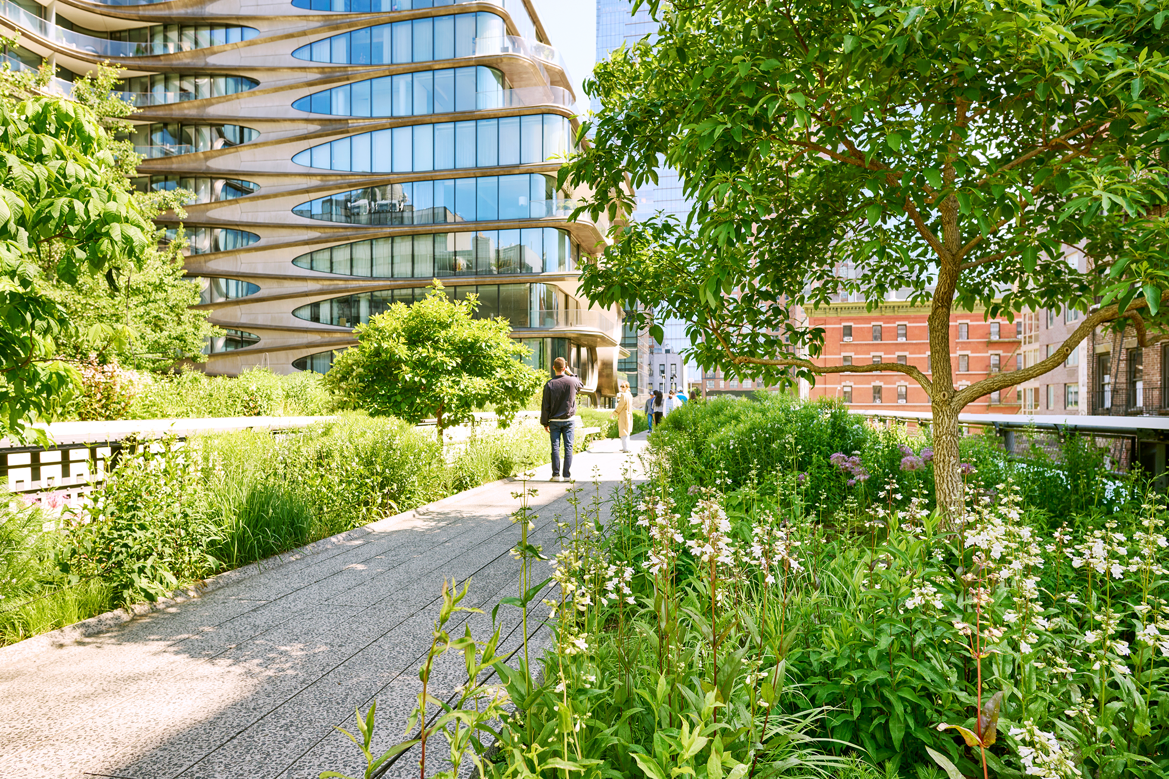 03-high-line-park_2400.webp