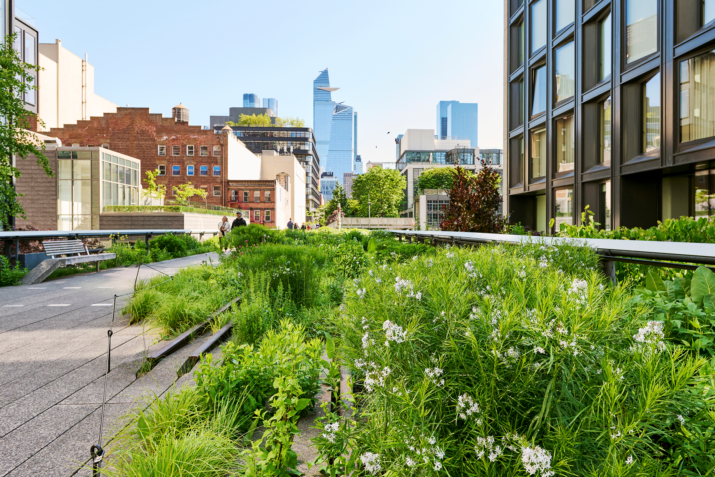 05-high-line-park_2400.webp