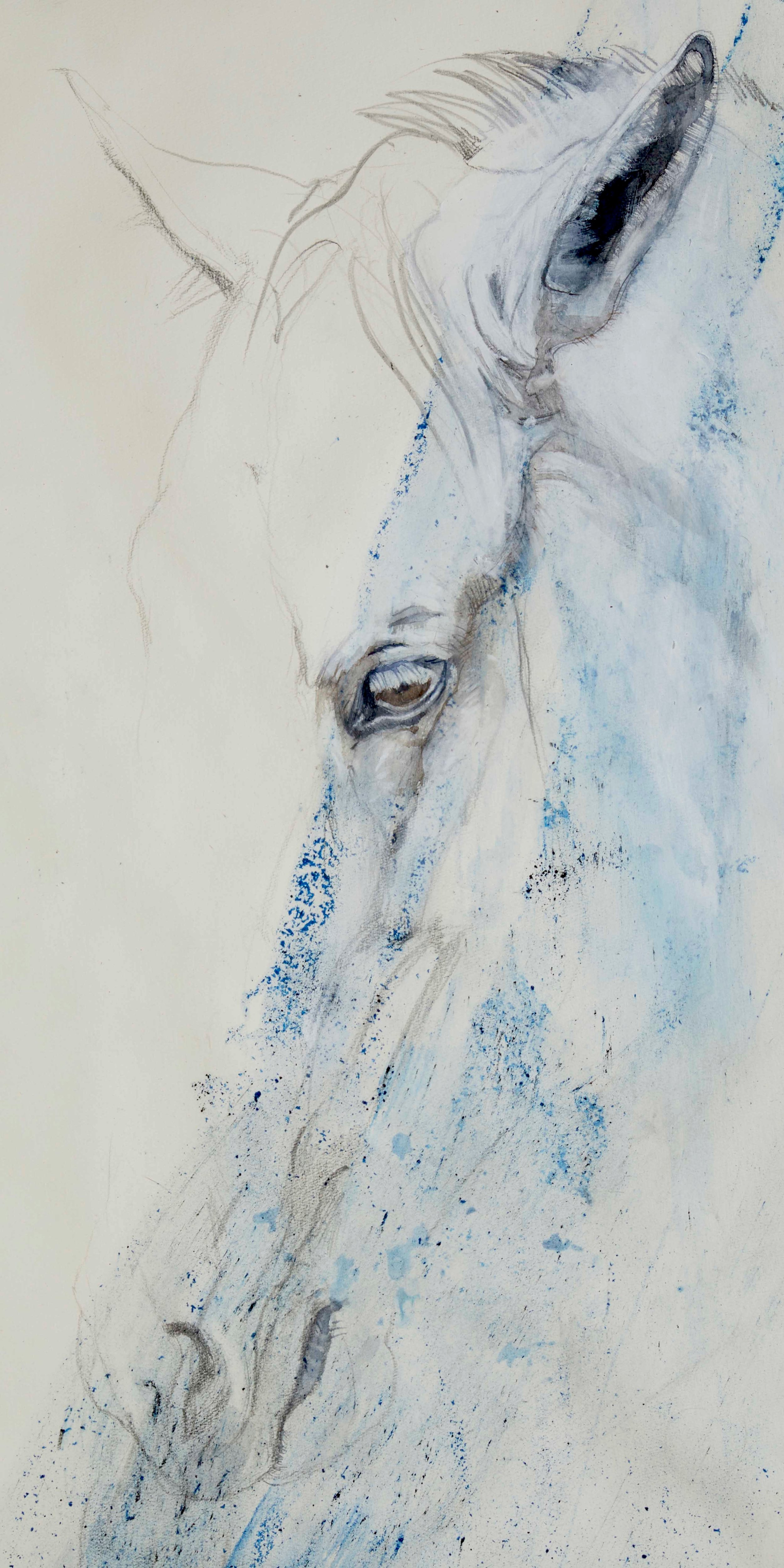 A watercolor sketch of a horse's head, showing details of the eye, ear, and mane with blue and black accents on a light background.