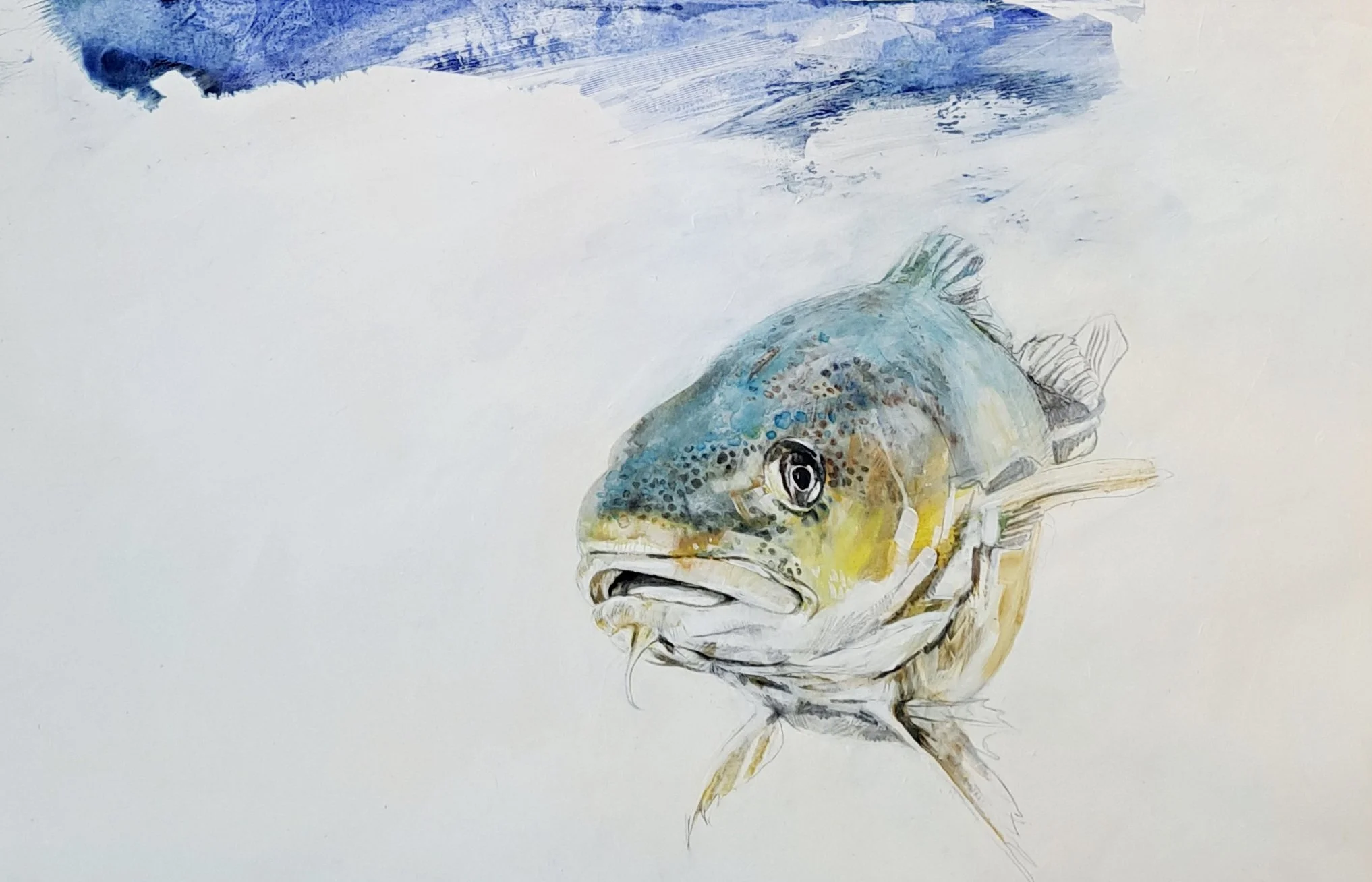 Painting of a fish with a blue and yellow coloration, depicted underwater with a plain background.
