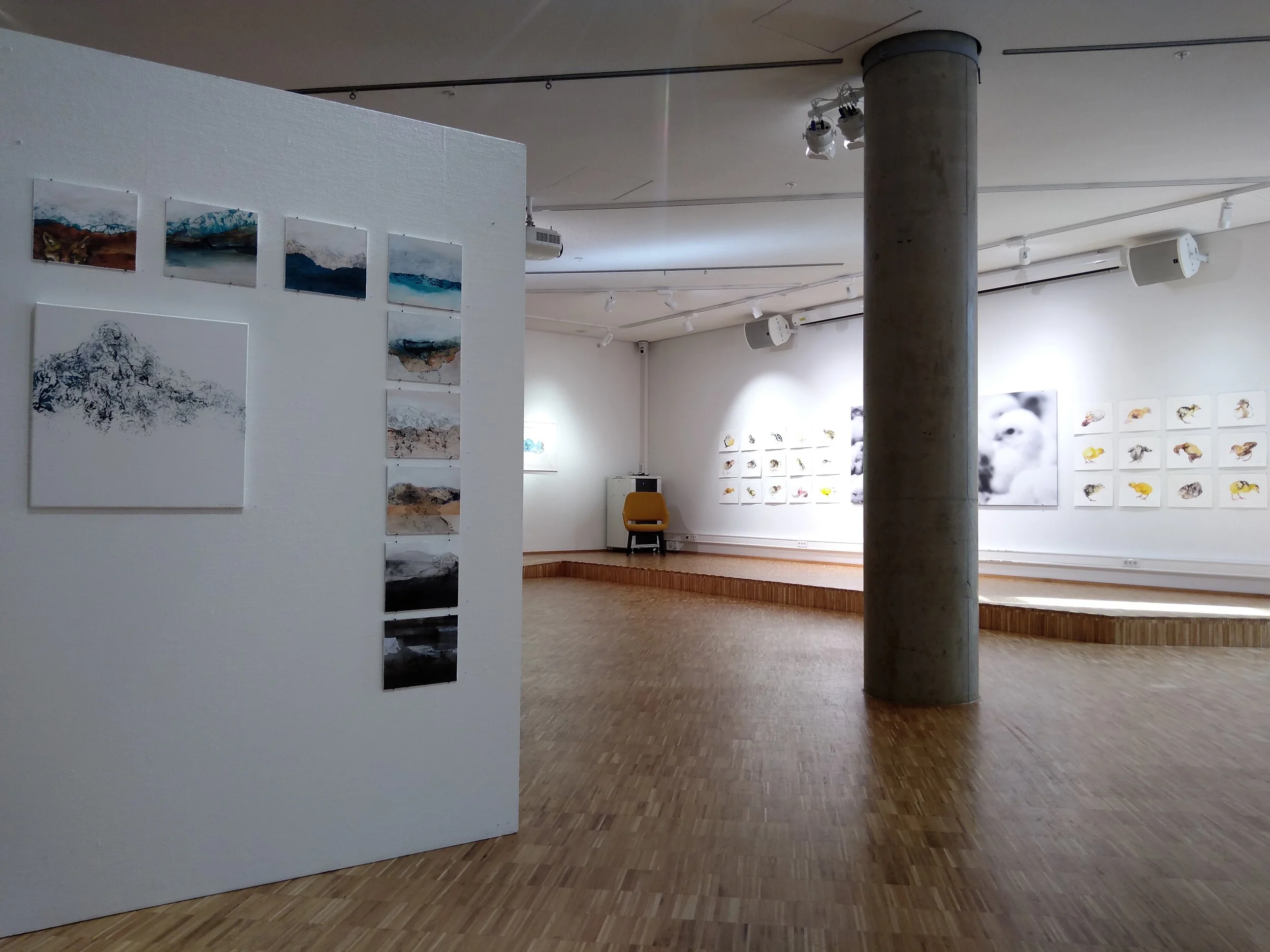 An art gallery with paintings and photographs displayed on white walls and a free-standing partition. The gallery has wood flooring, a concrete pillar, and spotlights on the ceiling.