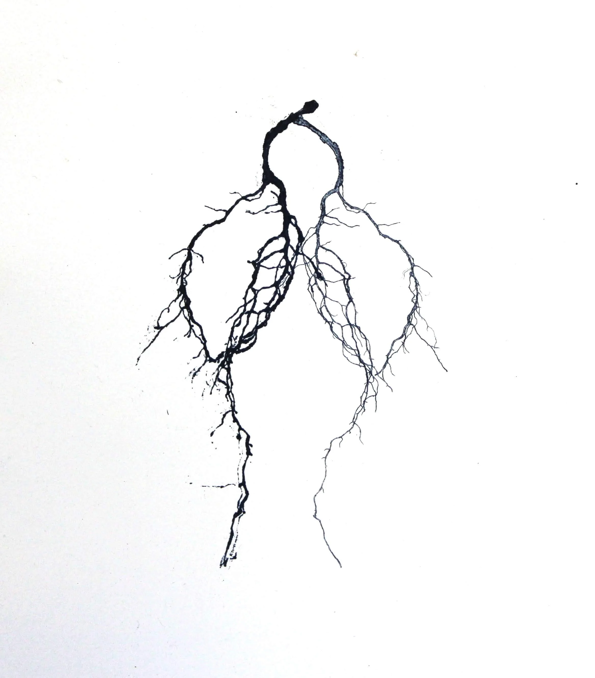 double roots_15x15 cm_mono print_2013 (1).JPG