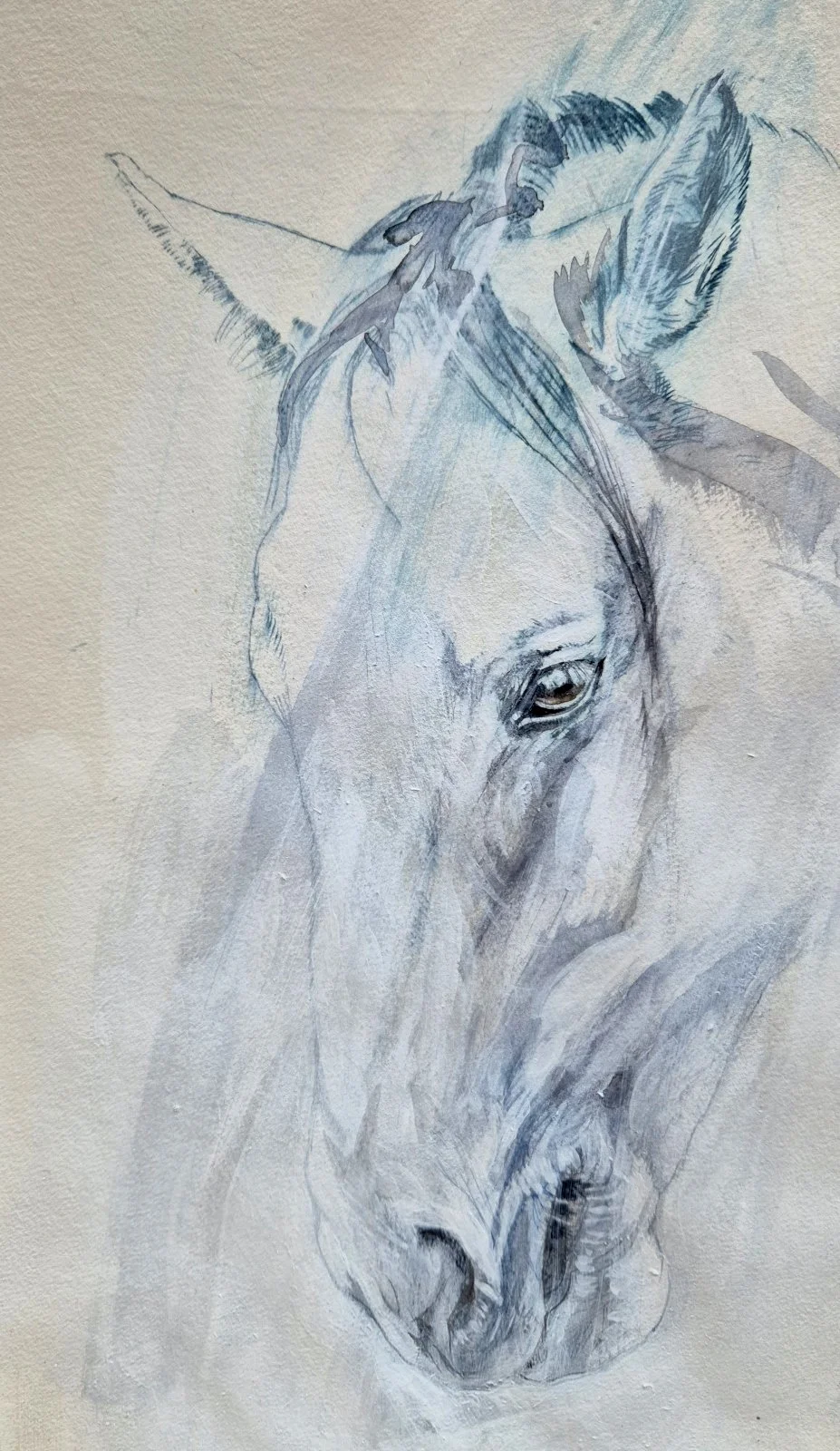 Watercolor painting of a gray horse's head, facing downward, with detailed features and expressive eyes.