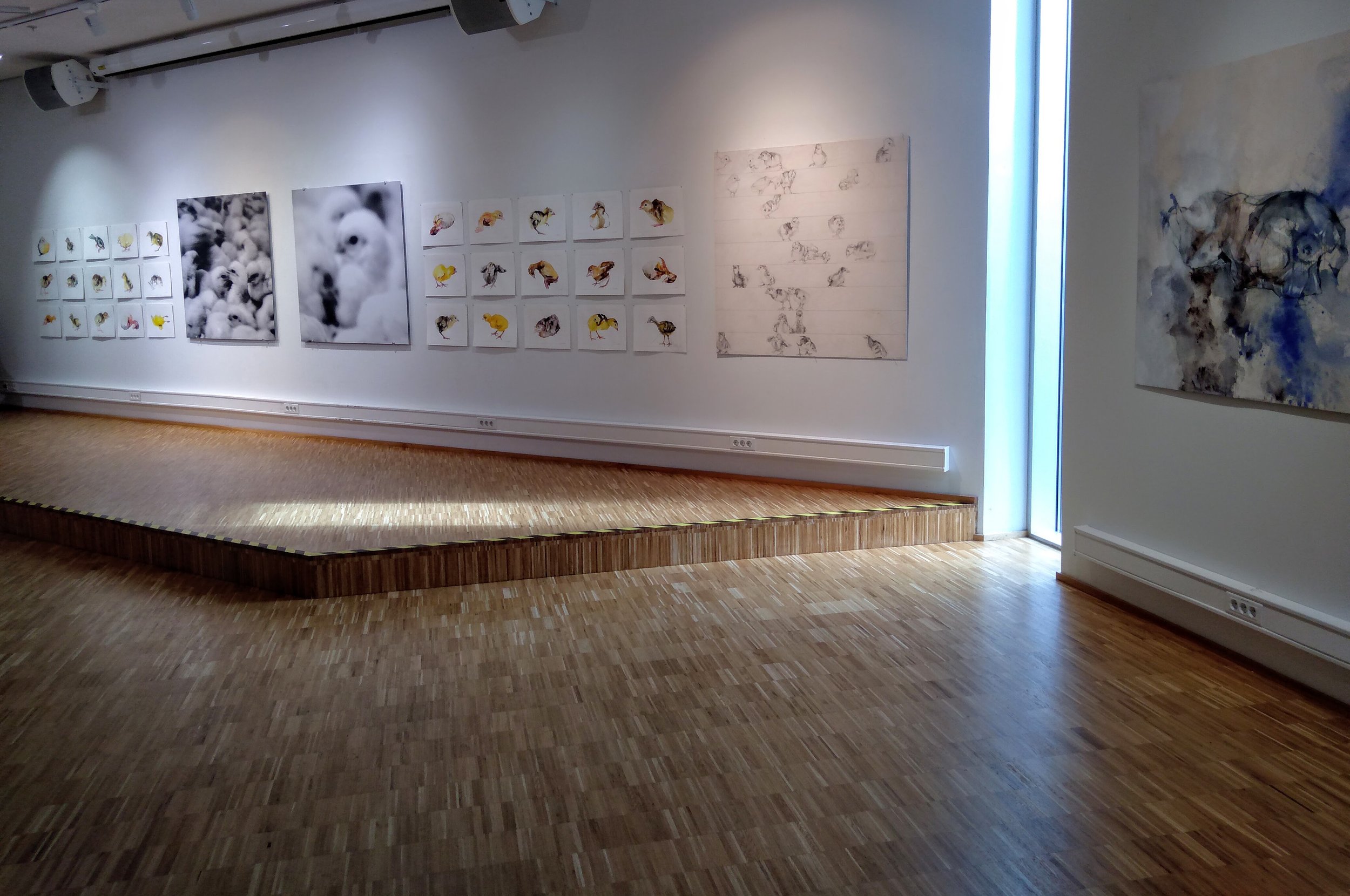 Art gallery with botanical illustrations and abstract paintings displayed on white walls, hardwood floors, and a small elevated platform.