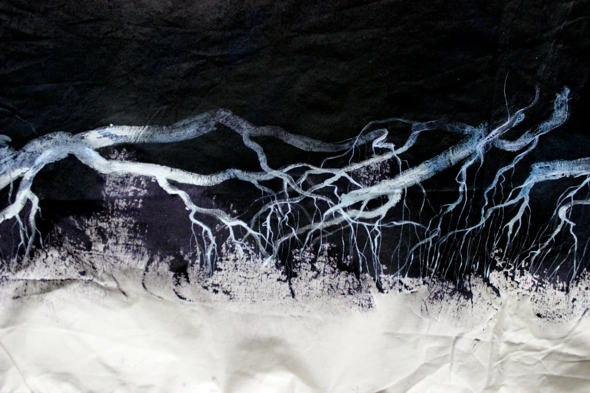 nature_roots_detail_1.JPG