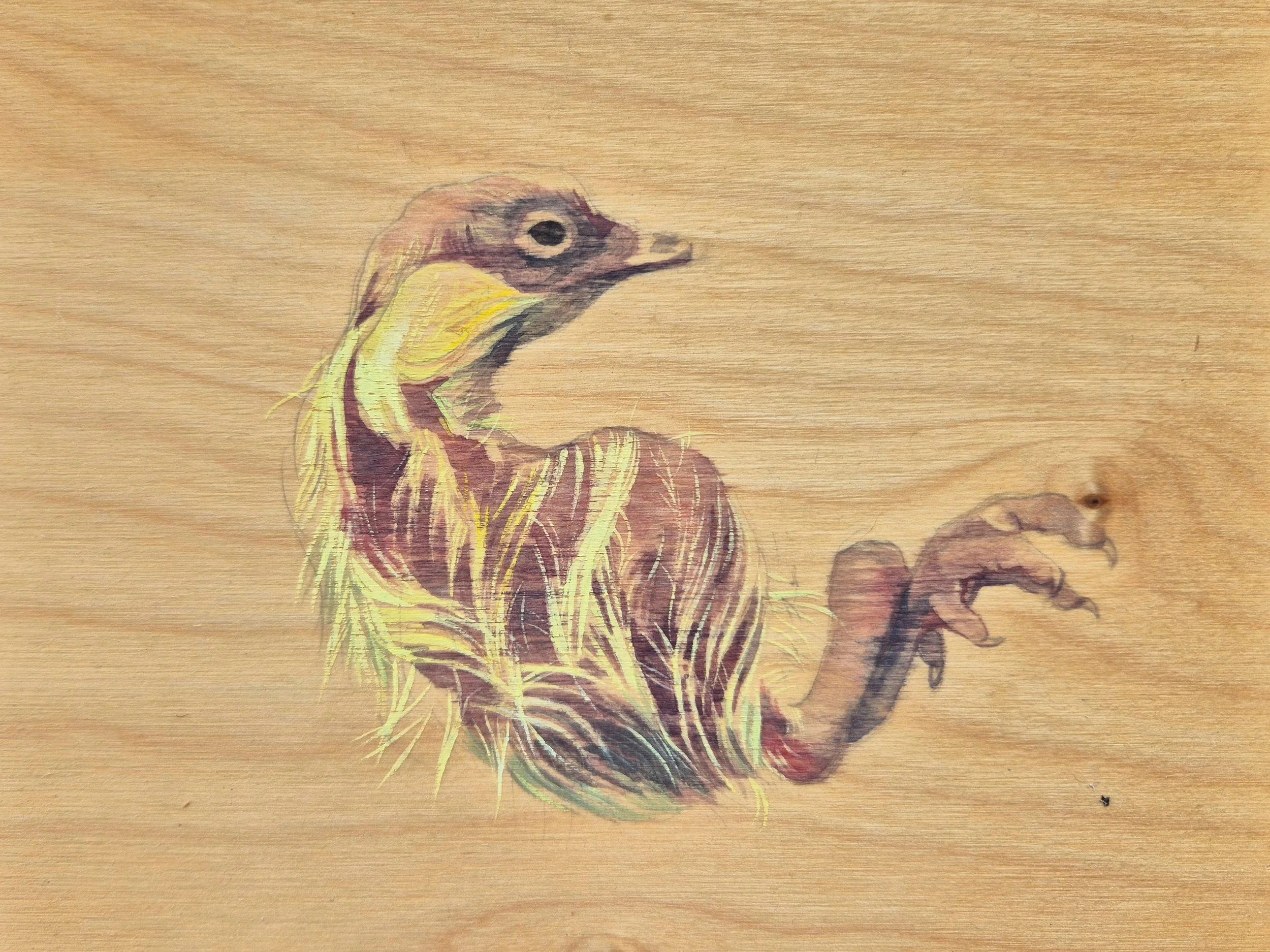 A painted illustration of a velociraptor on a wooden surface.