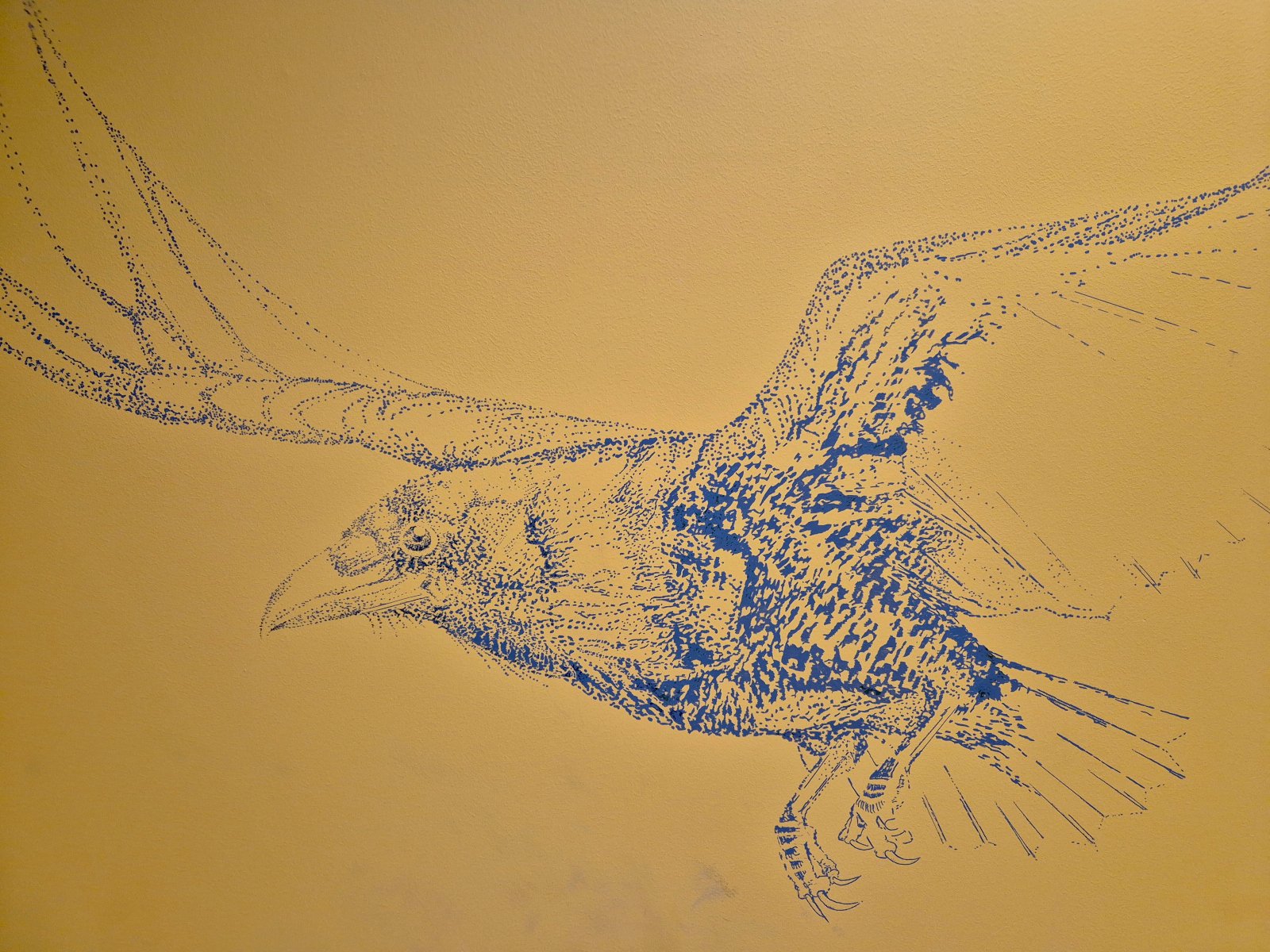 Blue dotted line drawing of a bird with wings spread, on a yellow background.