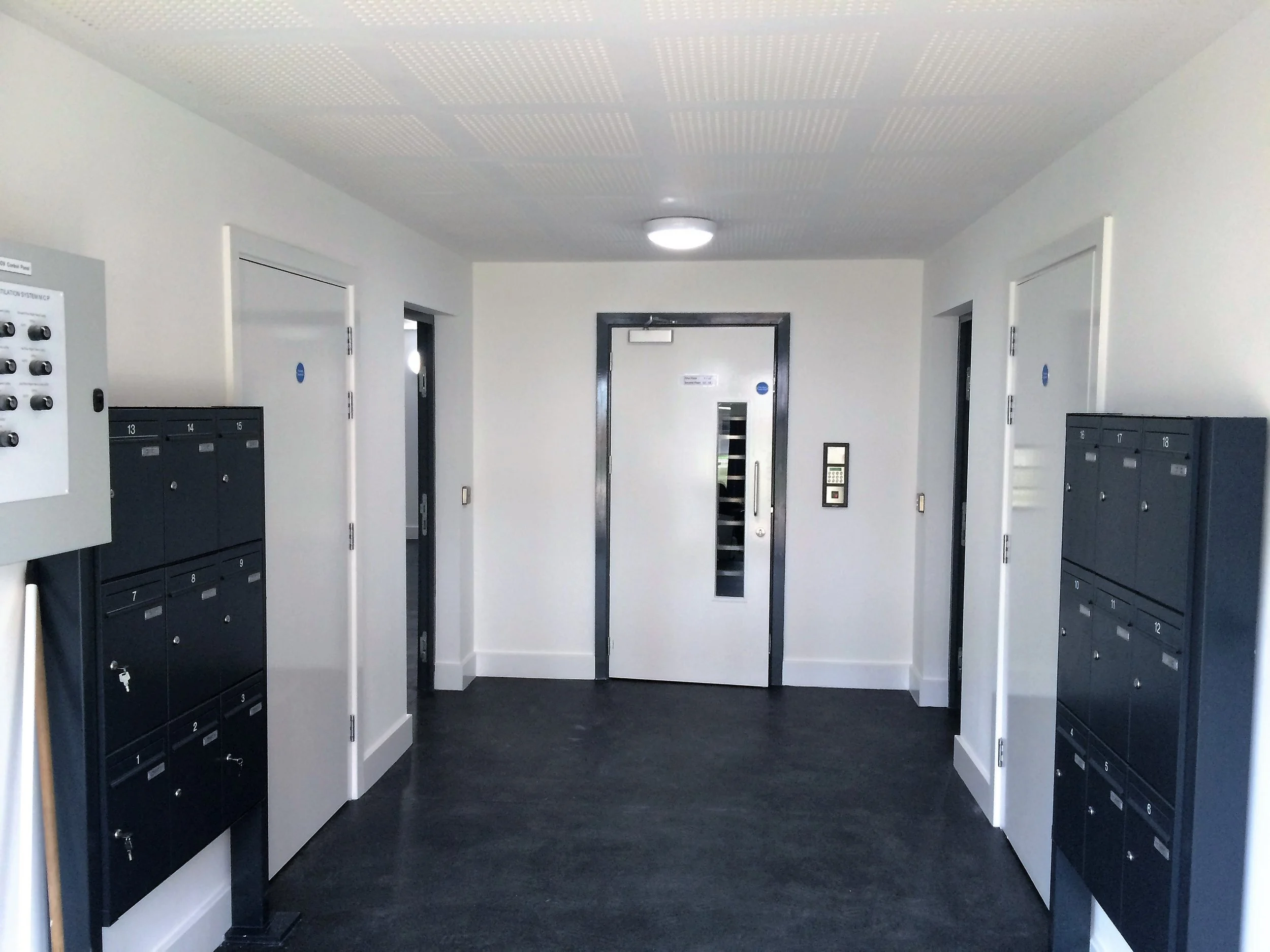 IMG_1302.jpg