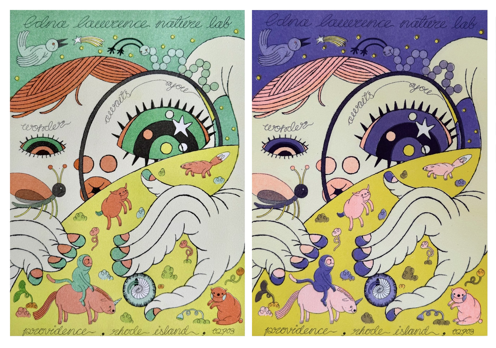 Hua_Claire_RISDEdnaLawrenceNatureLabPoster copy.png