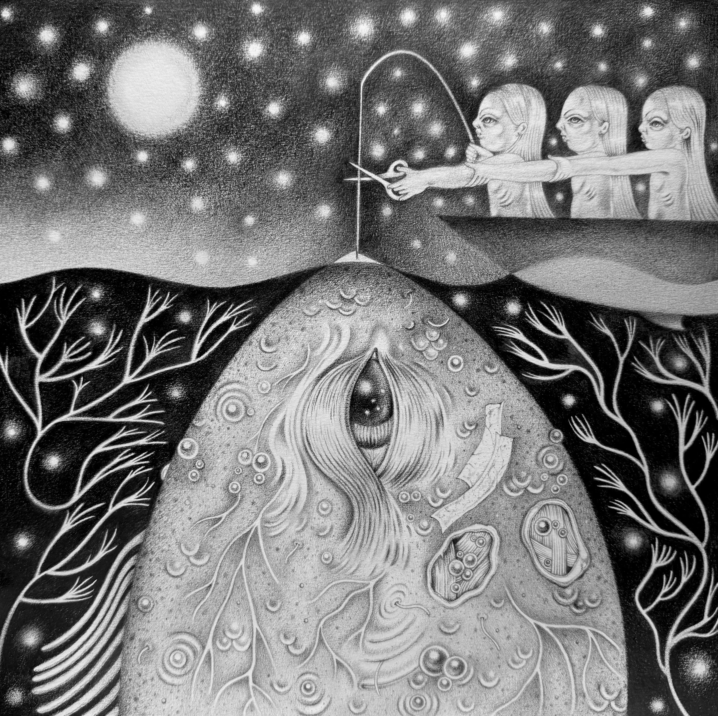 cutting the cord, graphite, 11x11in