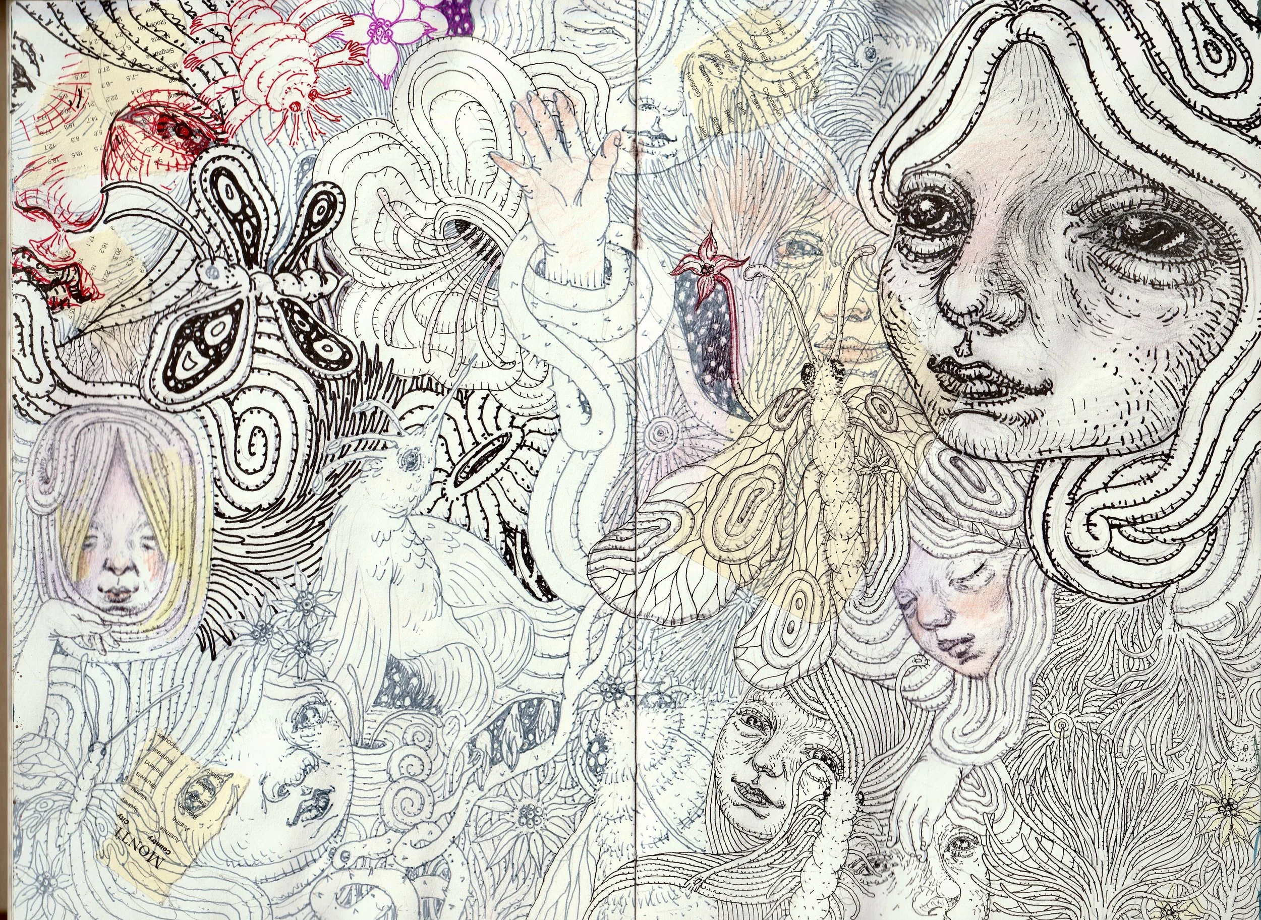 IMG_20250827_0001 (1).jpg