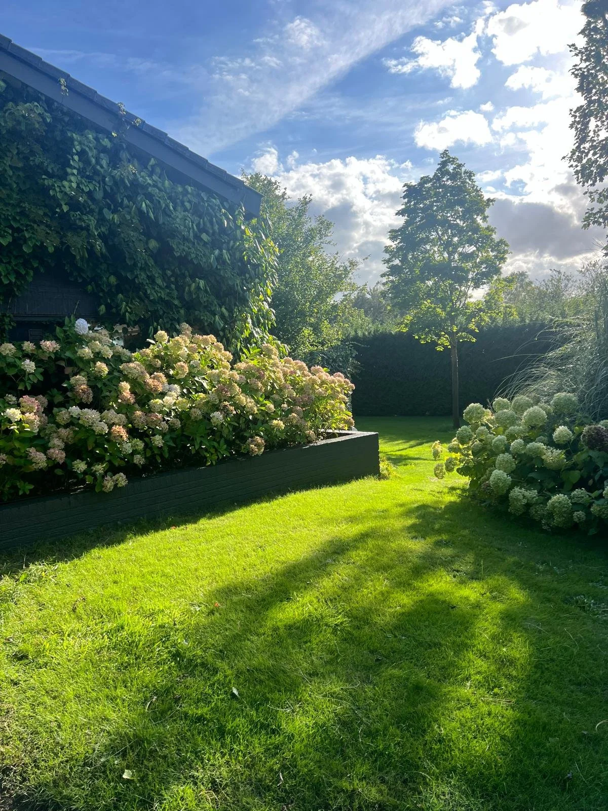 Twee witte houten relaxstoelen met doek zitvlak en rugleuning, geplaatst op een betegeld terras voor een kamer met een witte gevel en een open deur met gordijn.