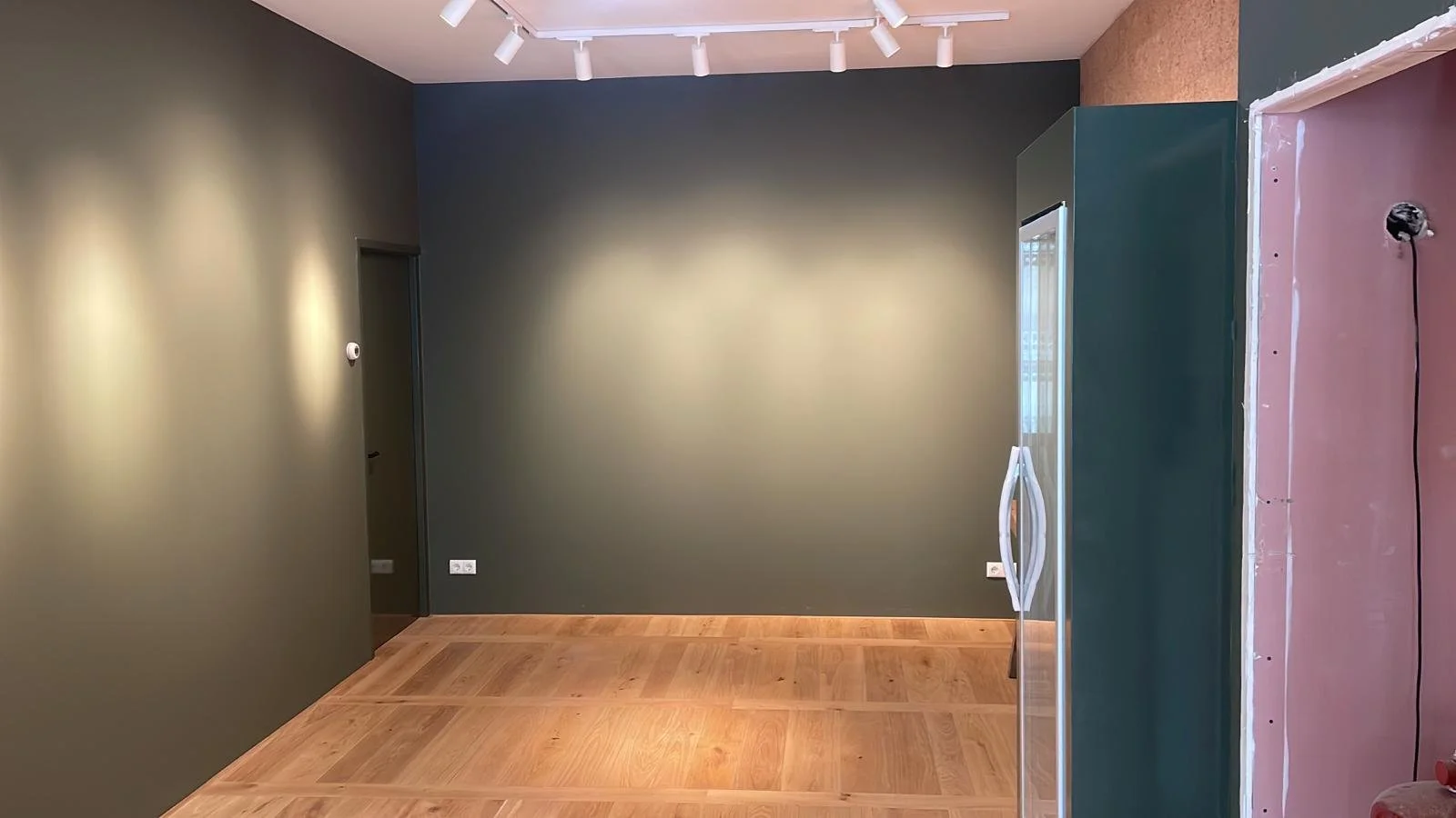 Een kamer met groene en roze muren, een houten vloer, en een keukenkastje met een koelkast.