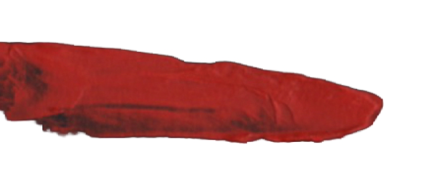 Uma lâmina de pimenta vermelha seca sobre fundo escuro.