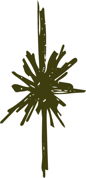 Asterisco verde. Símbolo associado ao logotipo da Beatriz Narciso.