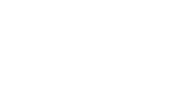 Asterisco branco. Símbolo associado ao logotipo da Beatriz Narciso.